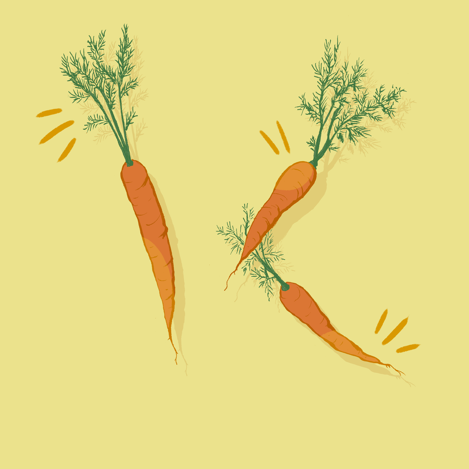 julianhuber_carotte_animation.gif