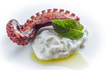 BURRATA &amp; OCTOPUS