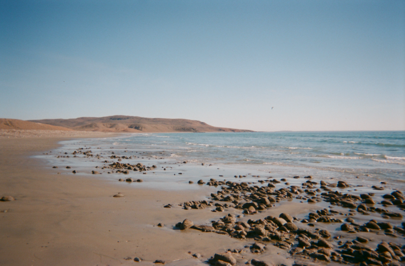 Screen Shot 2018-03-09 at 7.36.57 AM.png