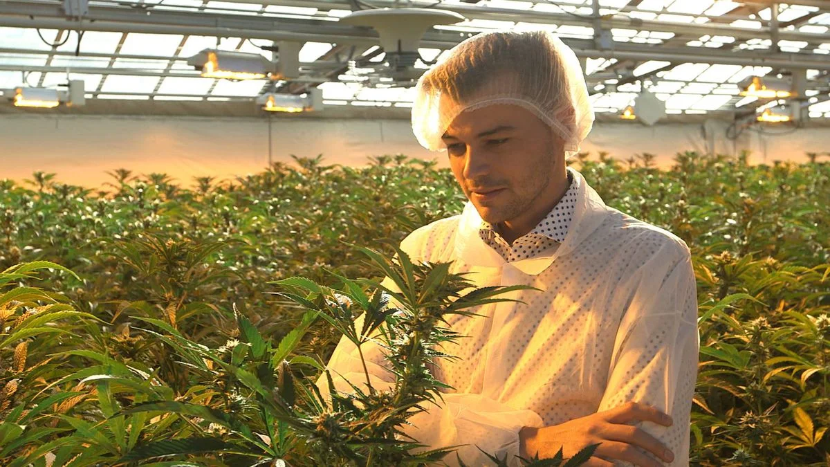 Once skeptics, angel investors warm to emerging cannabis sector