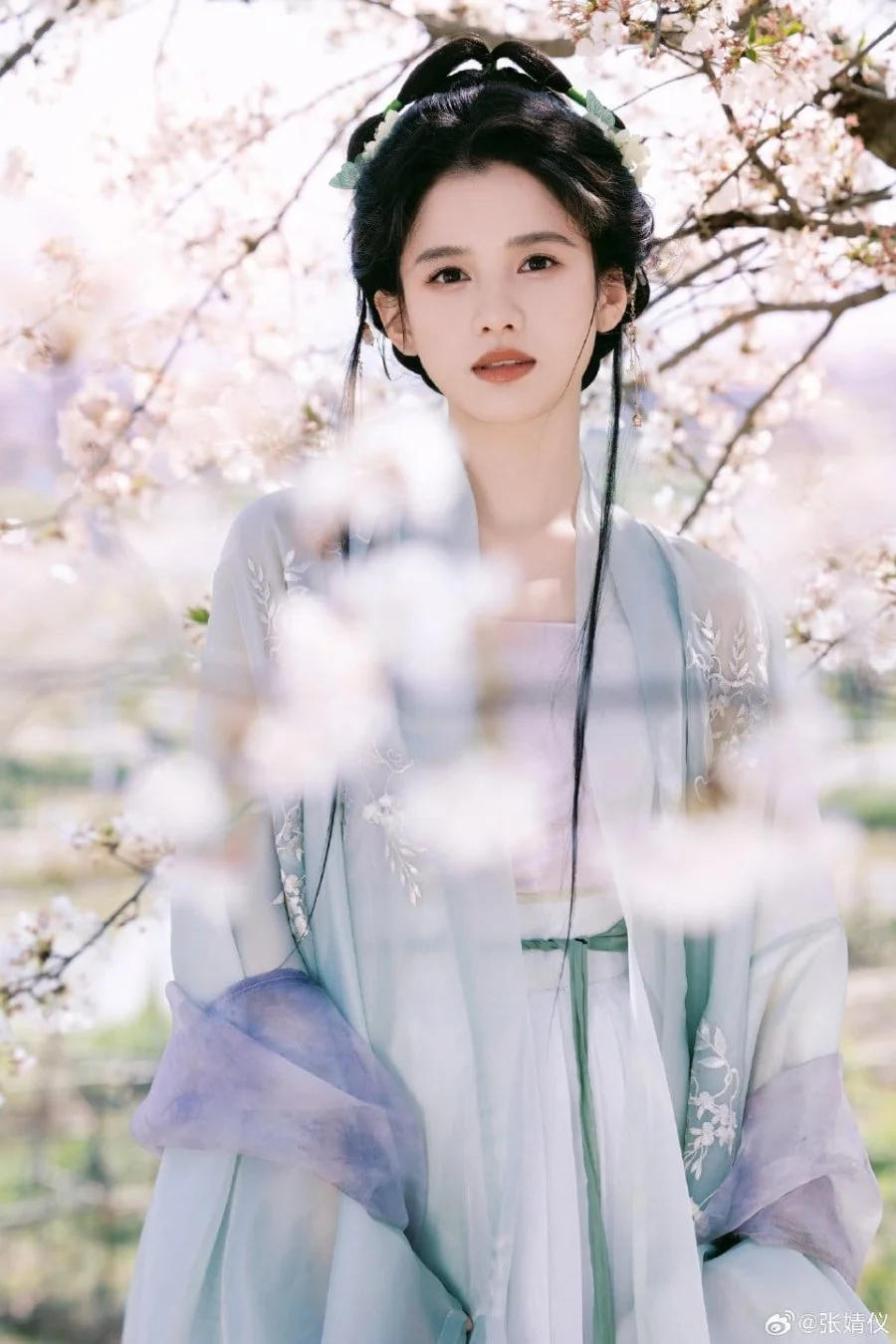 Blossoms in Adversity is a story of hope, resilience, and a joyful fairy tale in wishful thinking