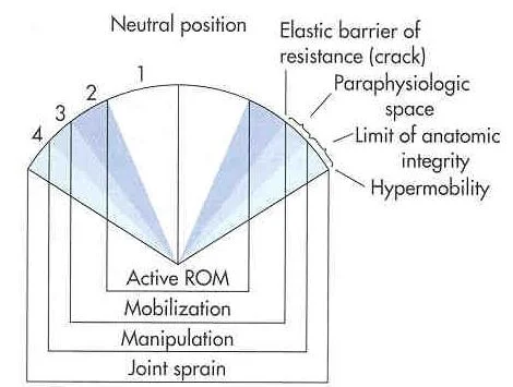 paraphysio space.jpg