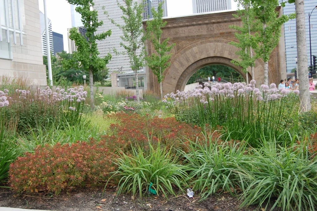 matrix planting — Blog Posts — ANNOTATIONS Plants, Ideas