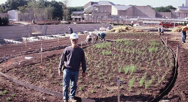 Roy Diblik at the birth of the Lurie Garden