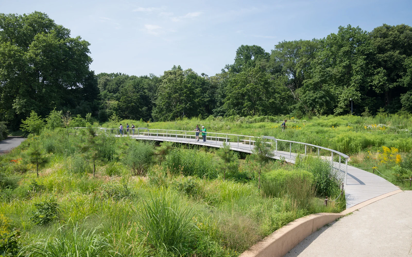 Part of Darrel Morrison's Gardens at the BBG - North Entrance "Pine Barrens"
