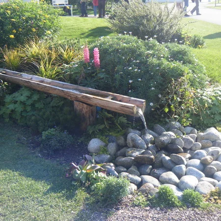 SlowTheFlowAtSchool-RainGarden.jpg