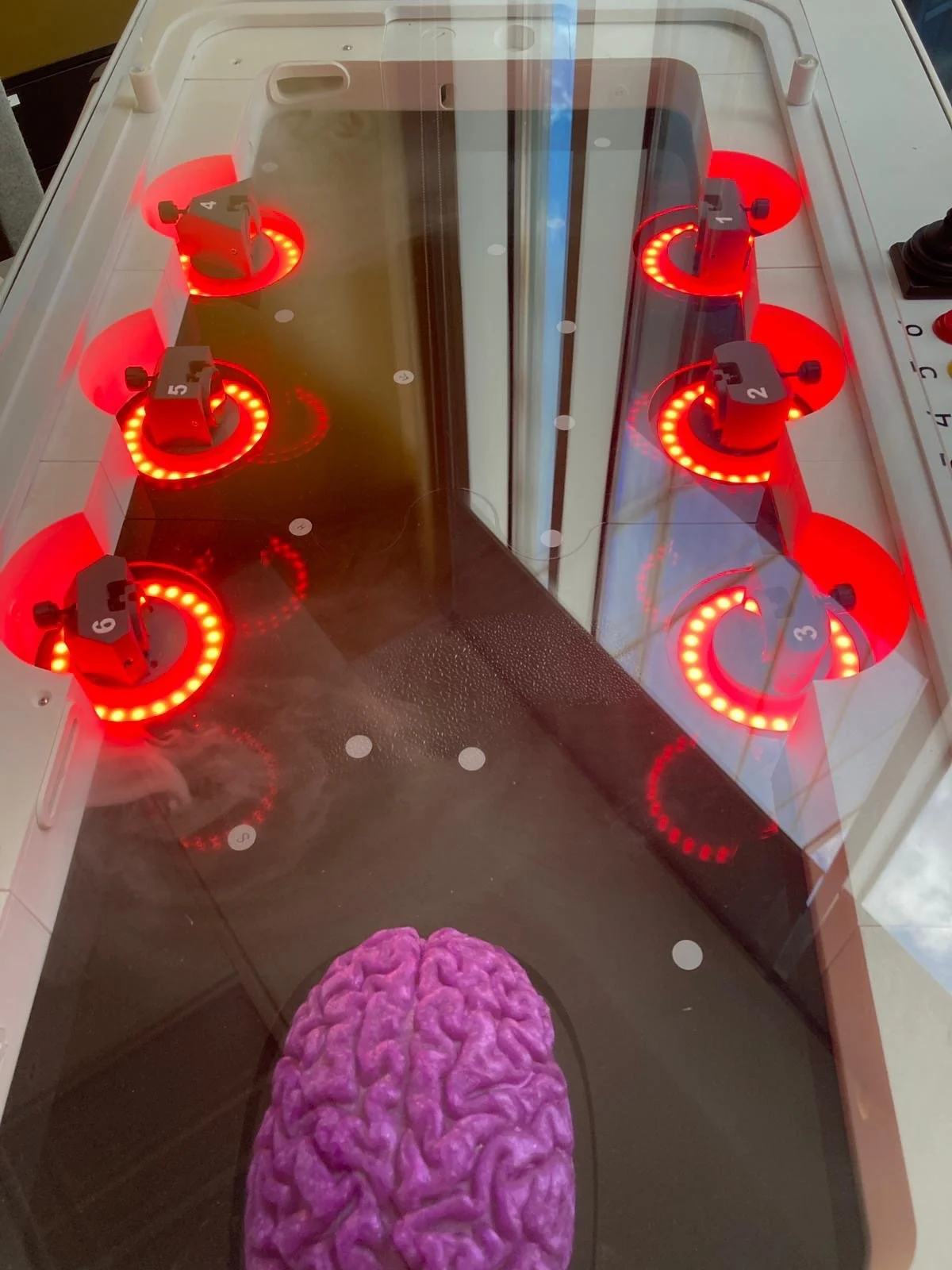 ecc9645e-c6f3-4934-9f5b-bd9baad02b7d 2.JPG