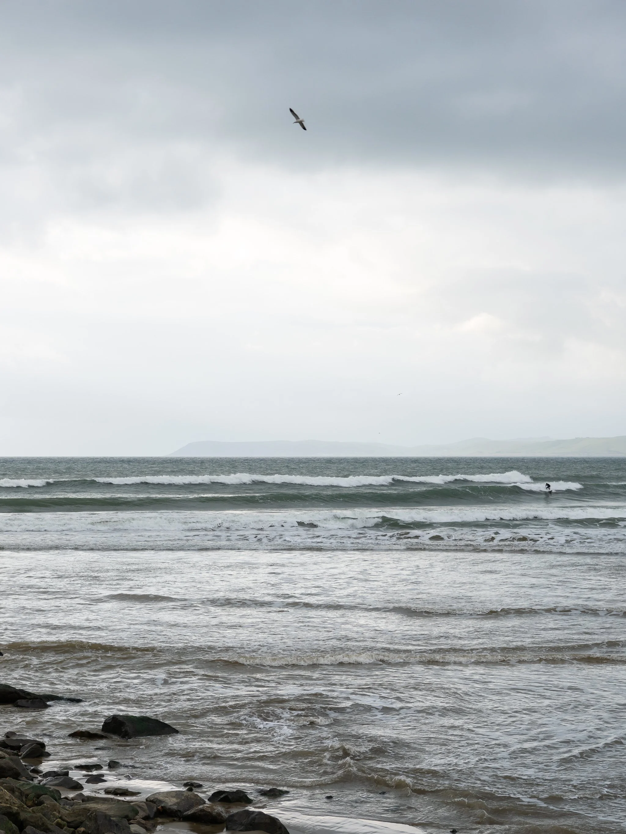 DSC01121-2.jpg