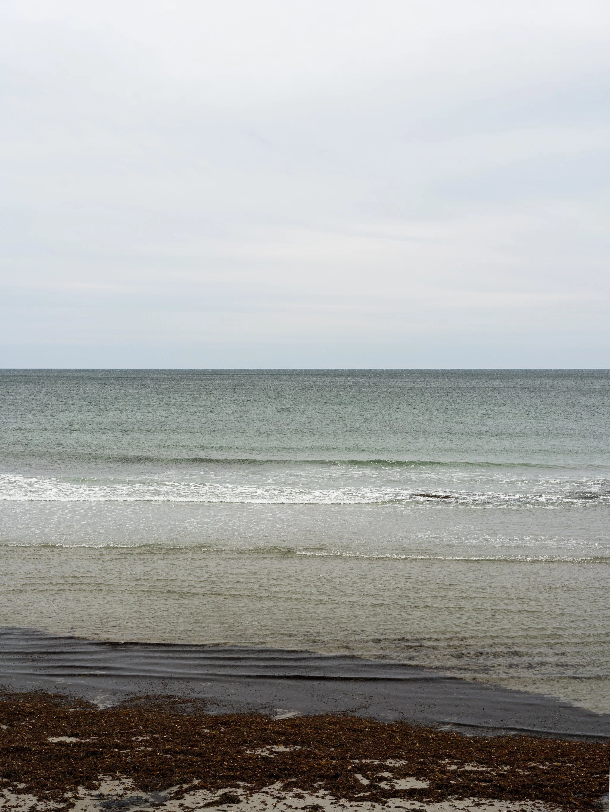 DSC01685.jpg