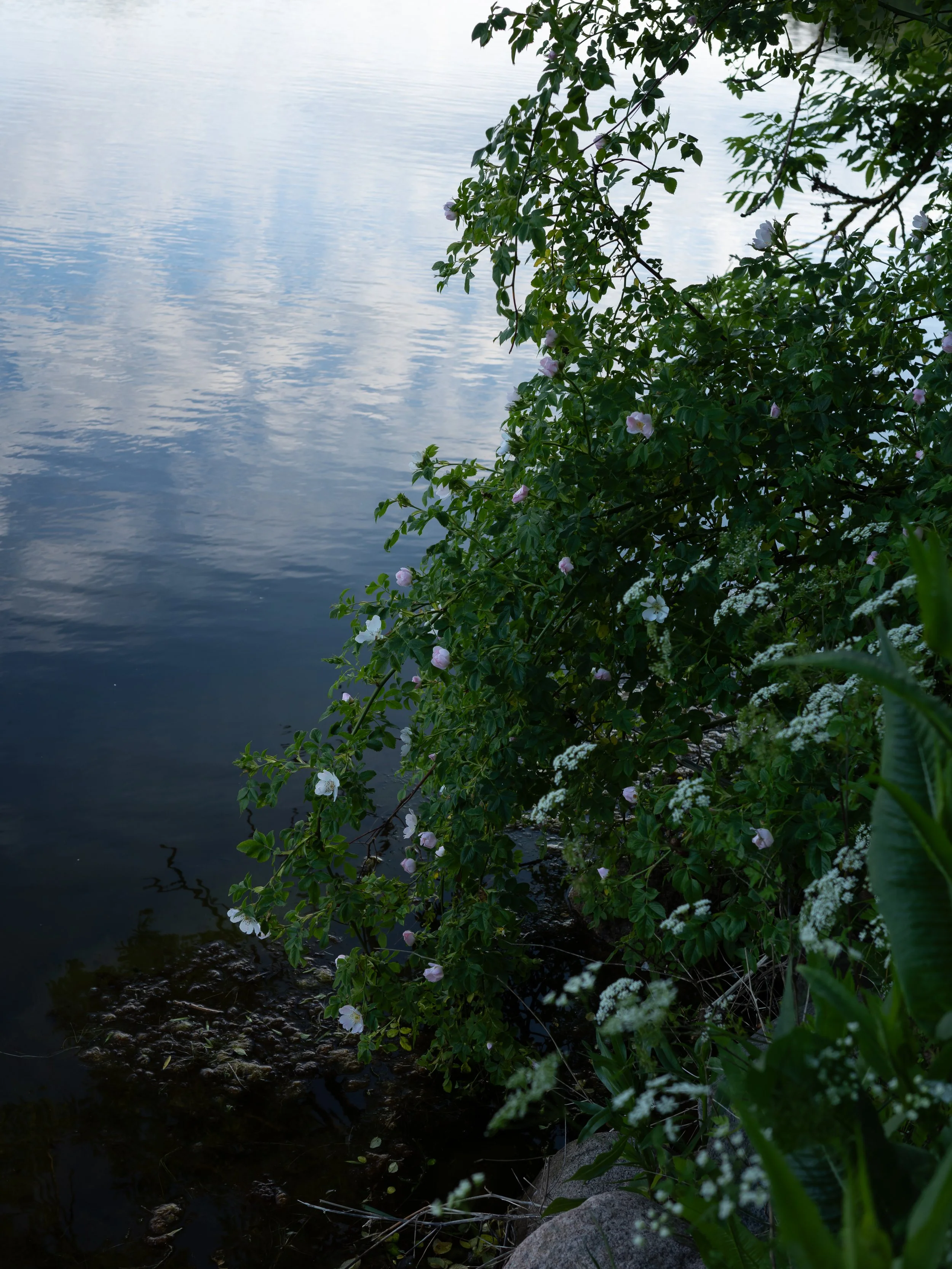 R0000277.jpg
