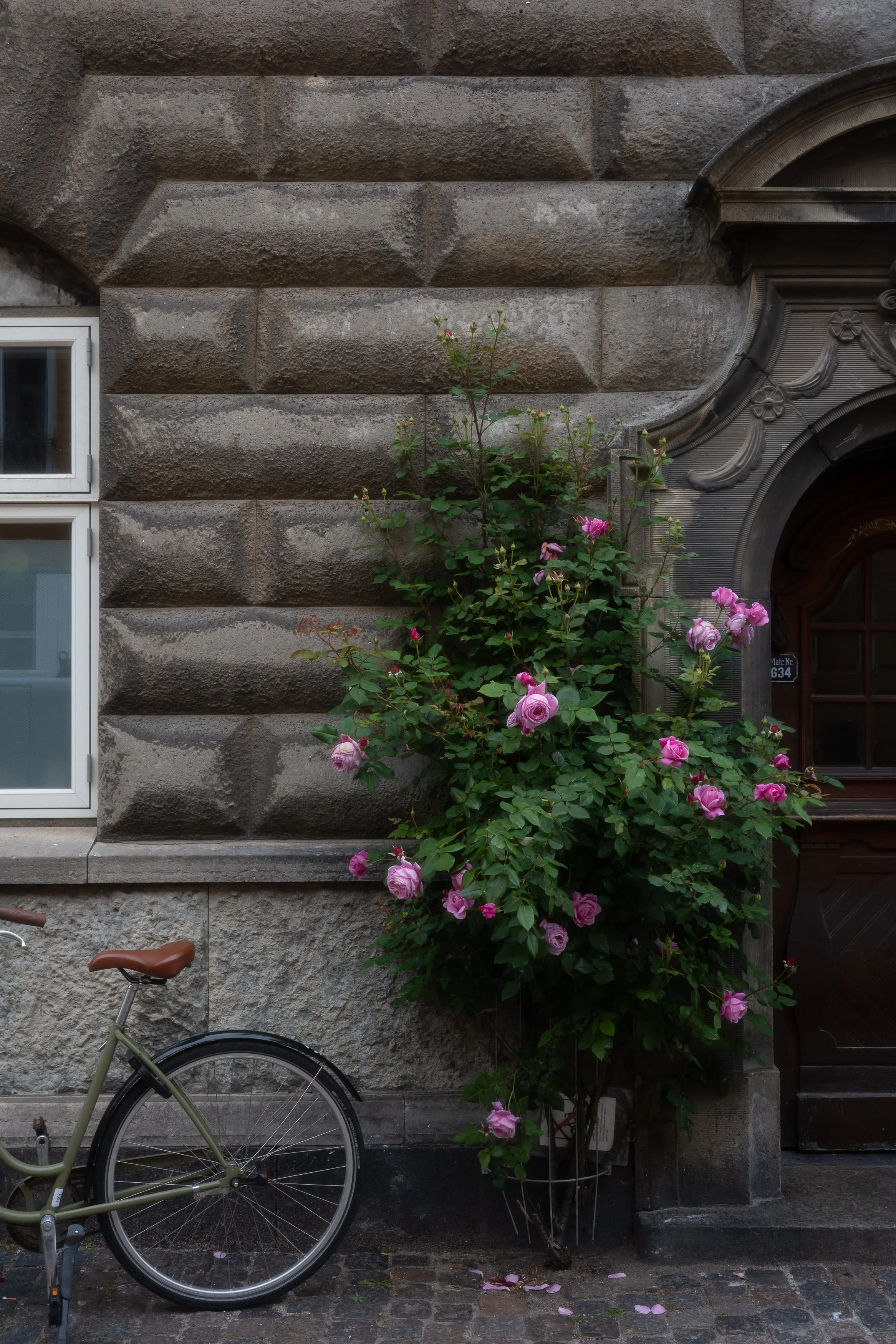 R0000730.jpg