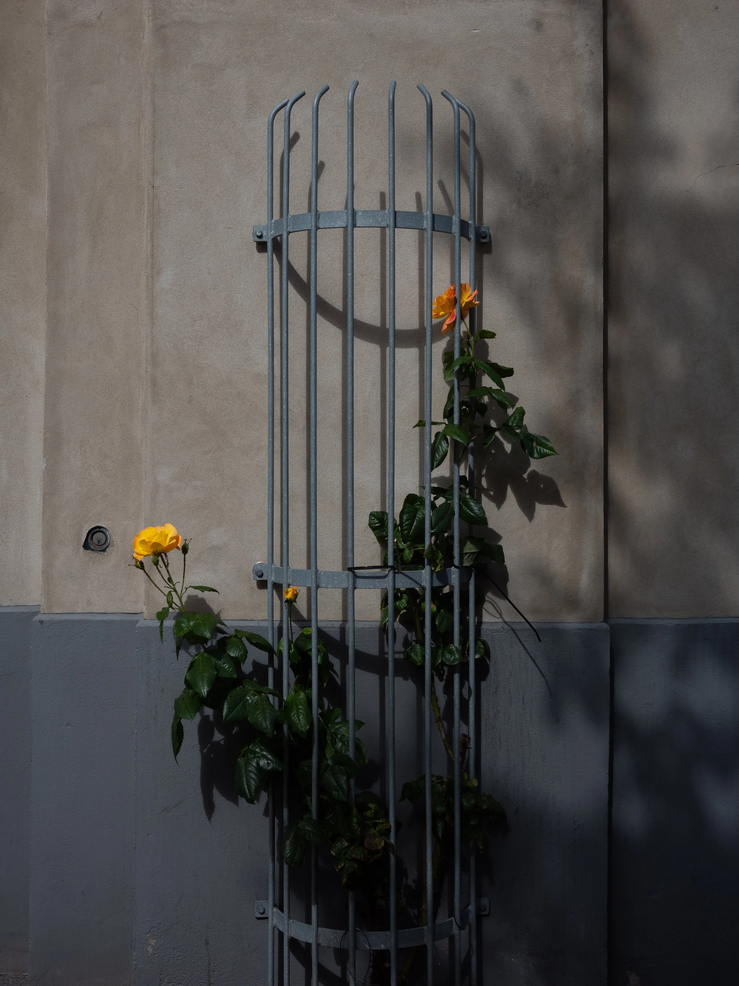 R0000753.jpg