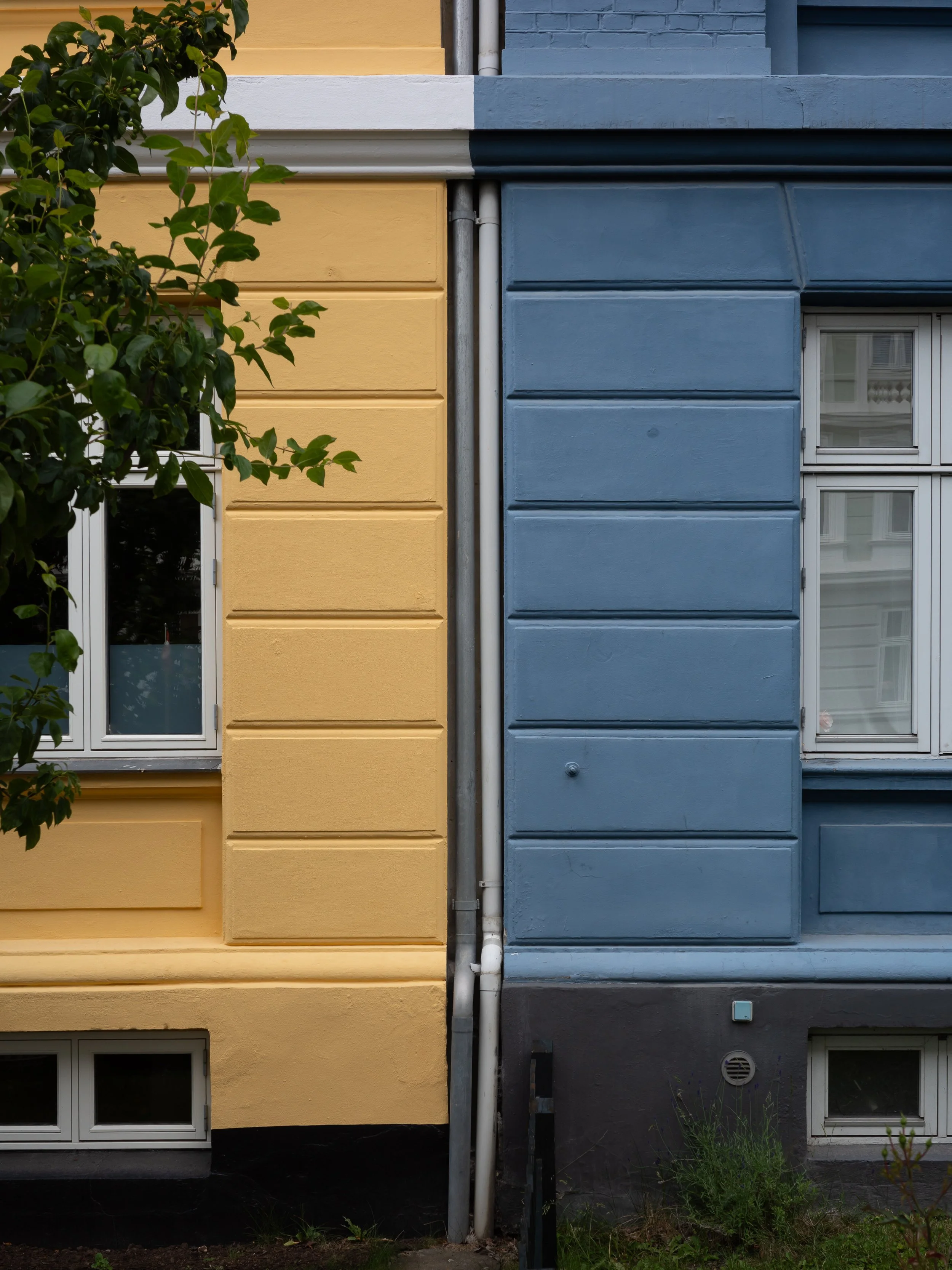 R0000856.jpg