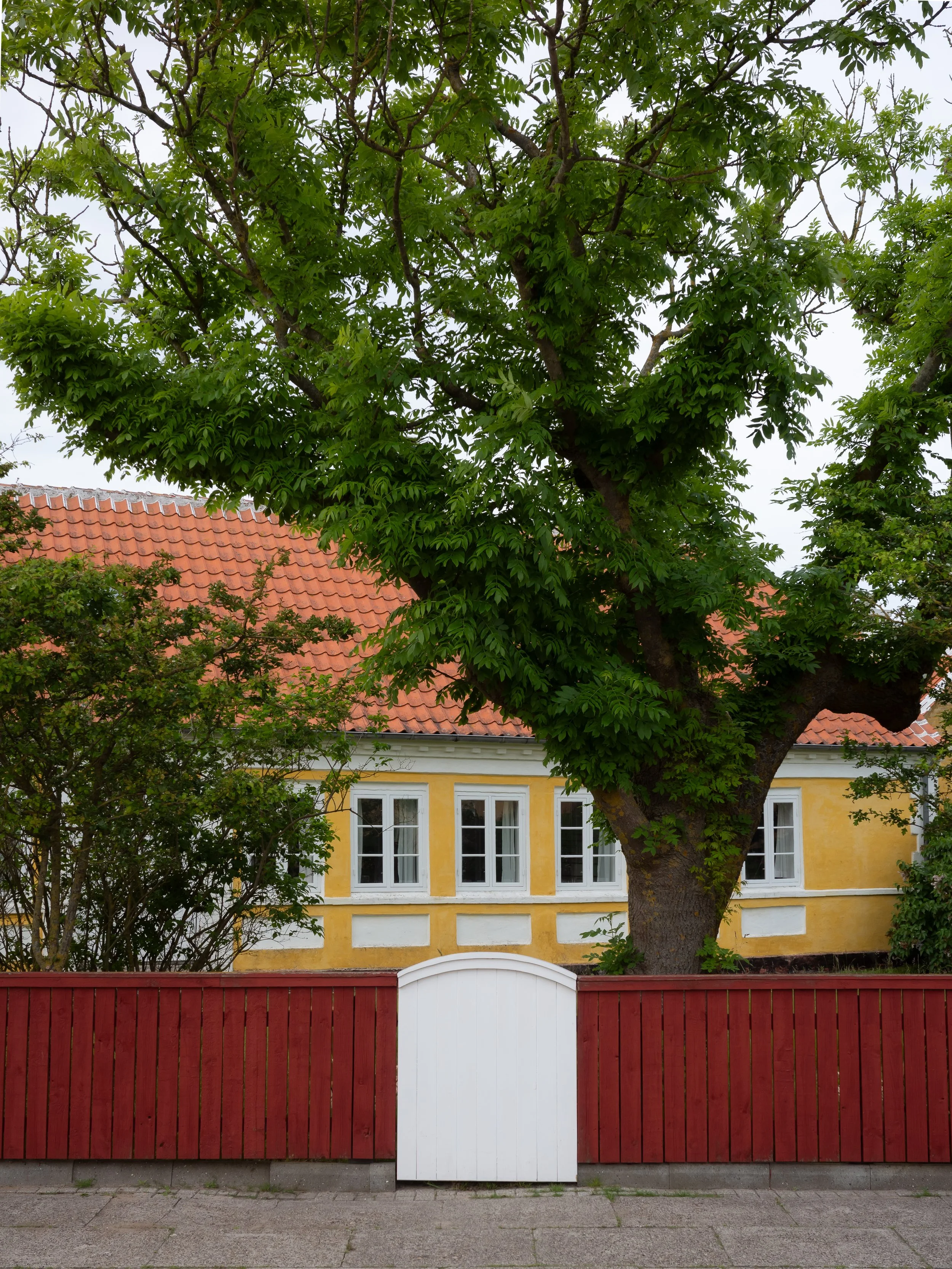 R0000383.jpg