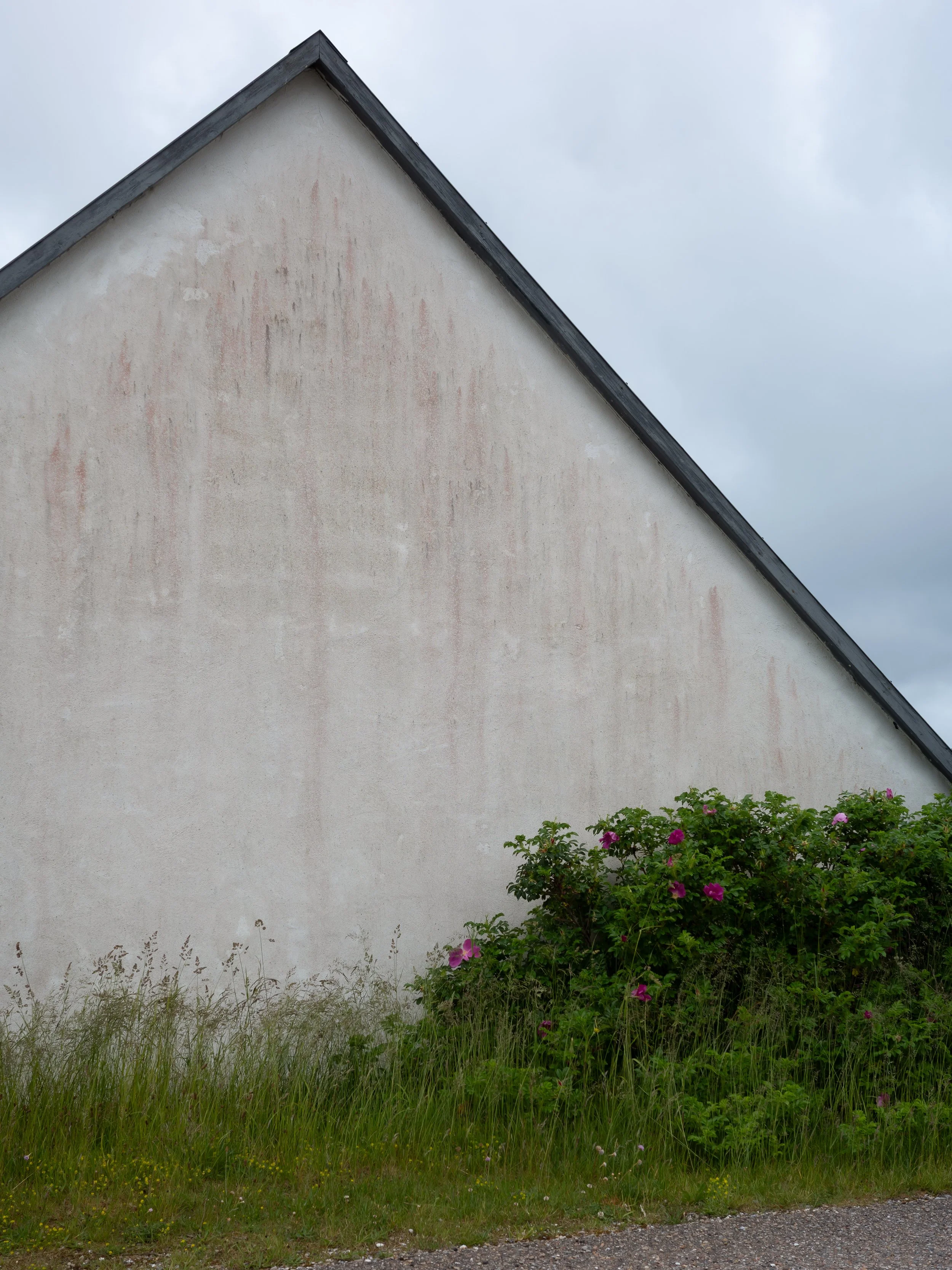 R0000420.jpg