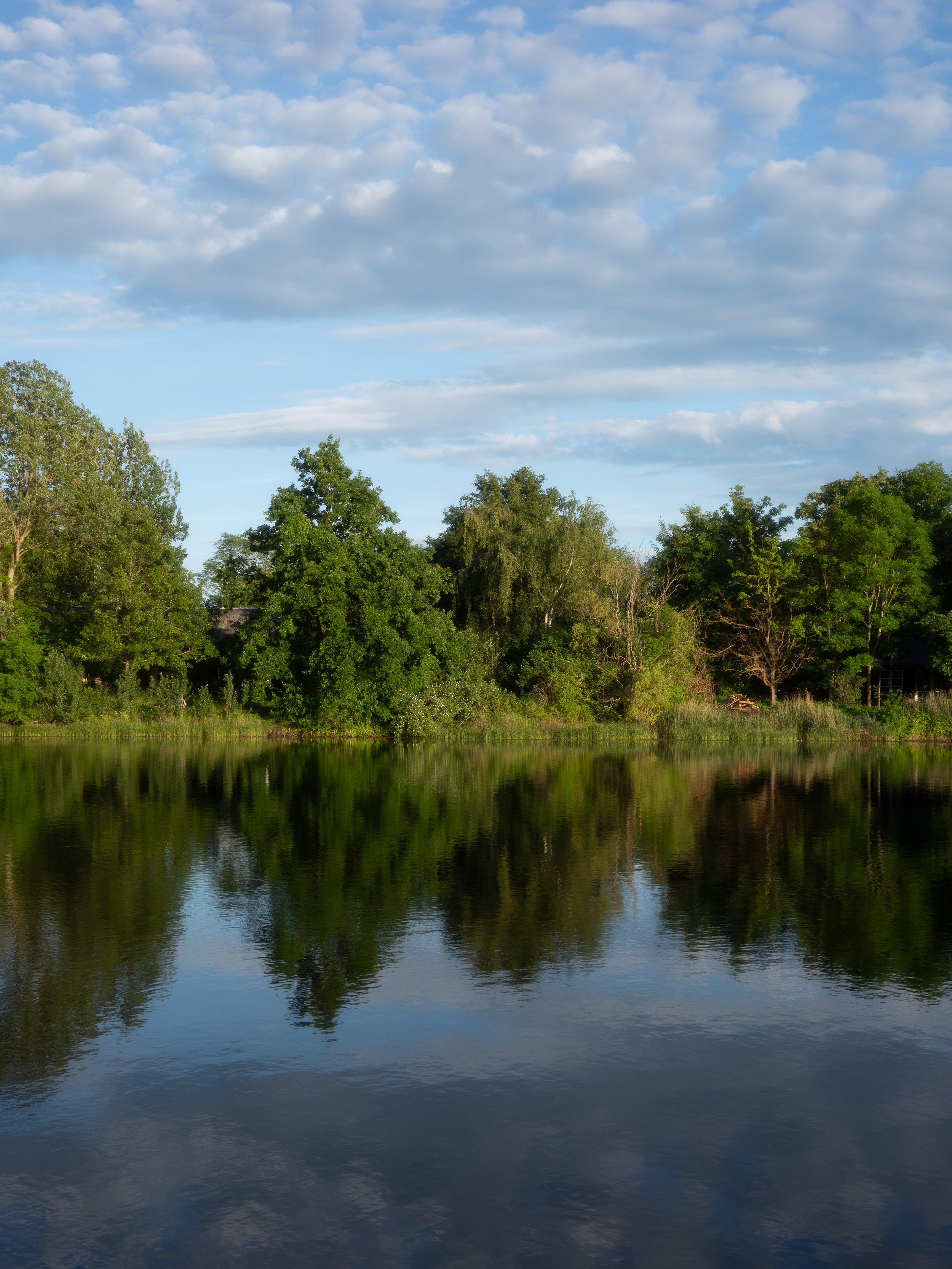 R0000273.jpg