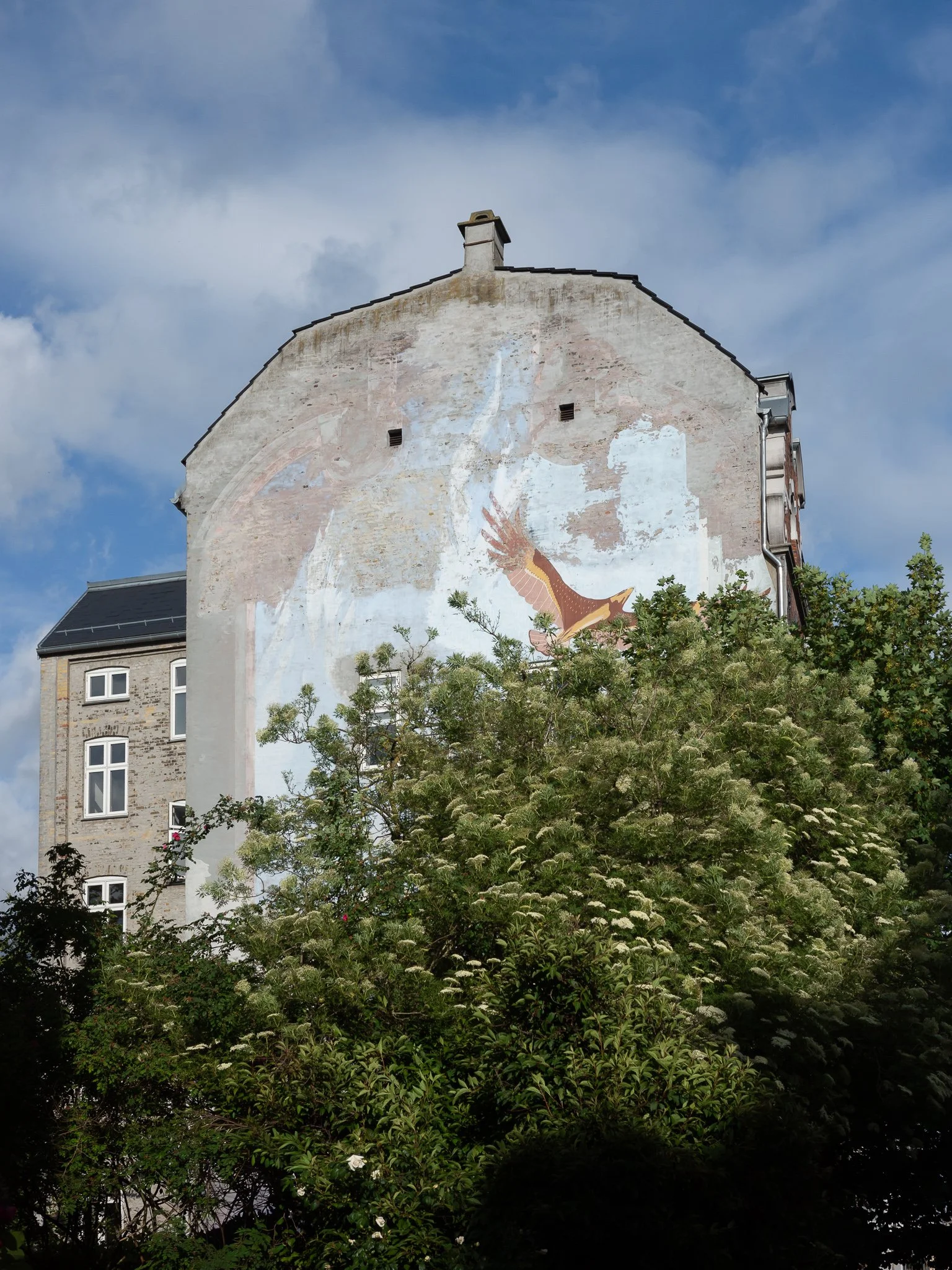 R0000800.jpg