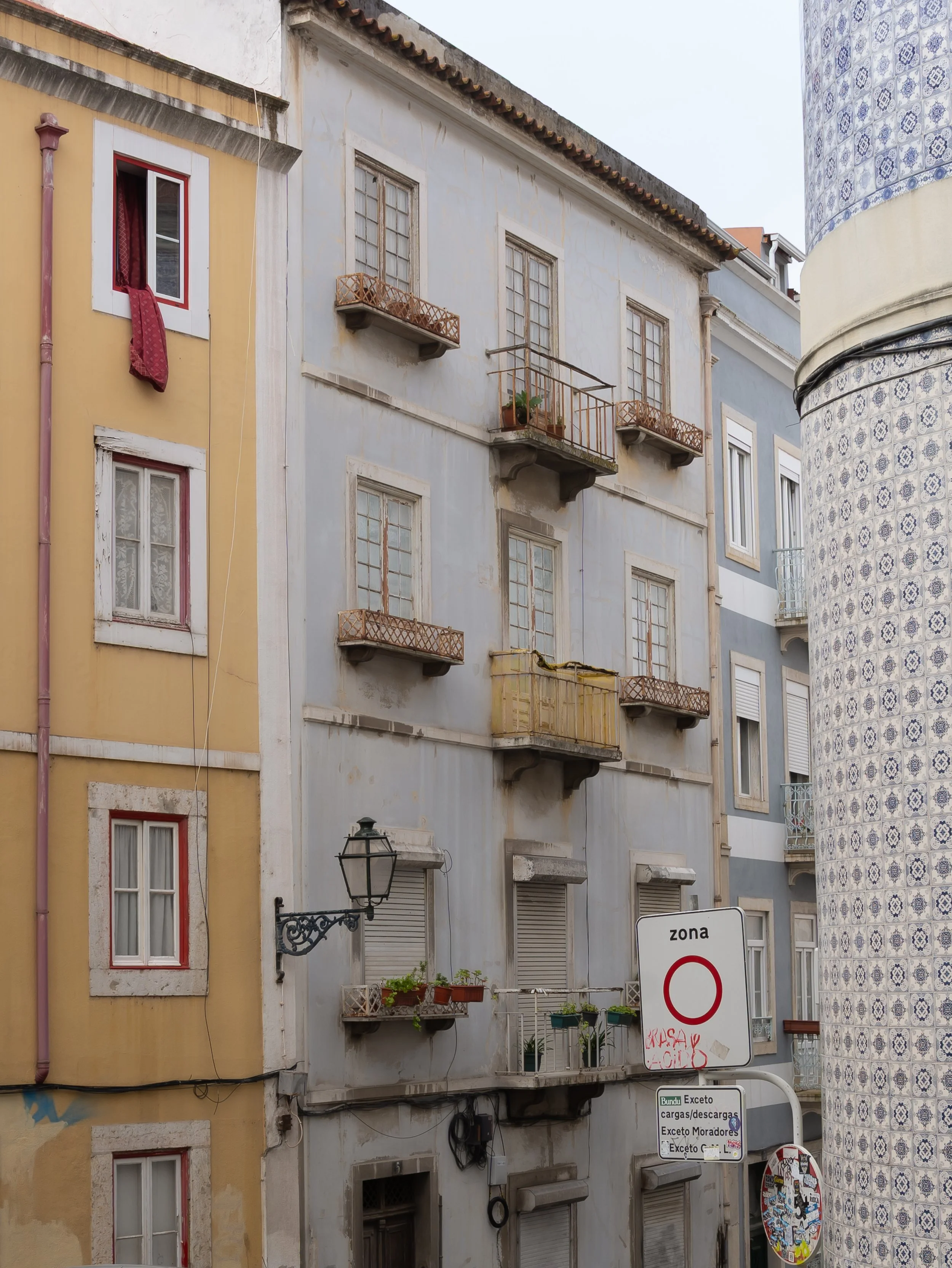 DSC03445-2.jpg