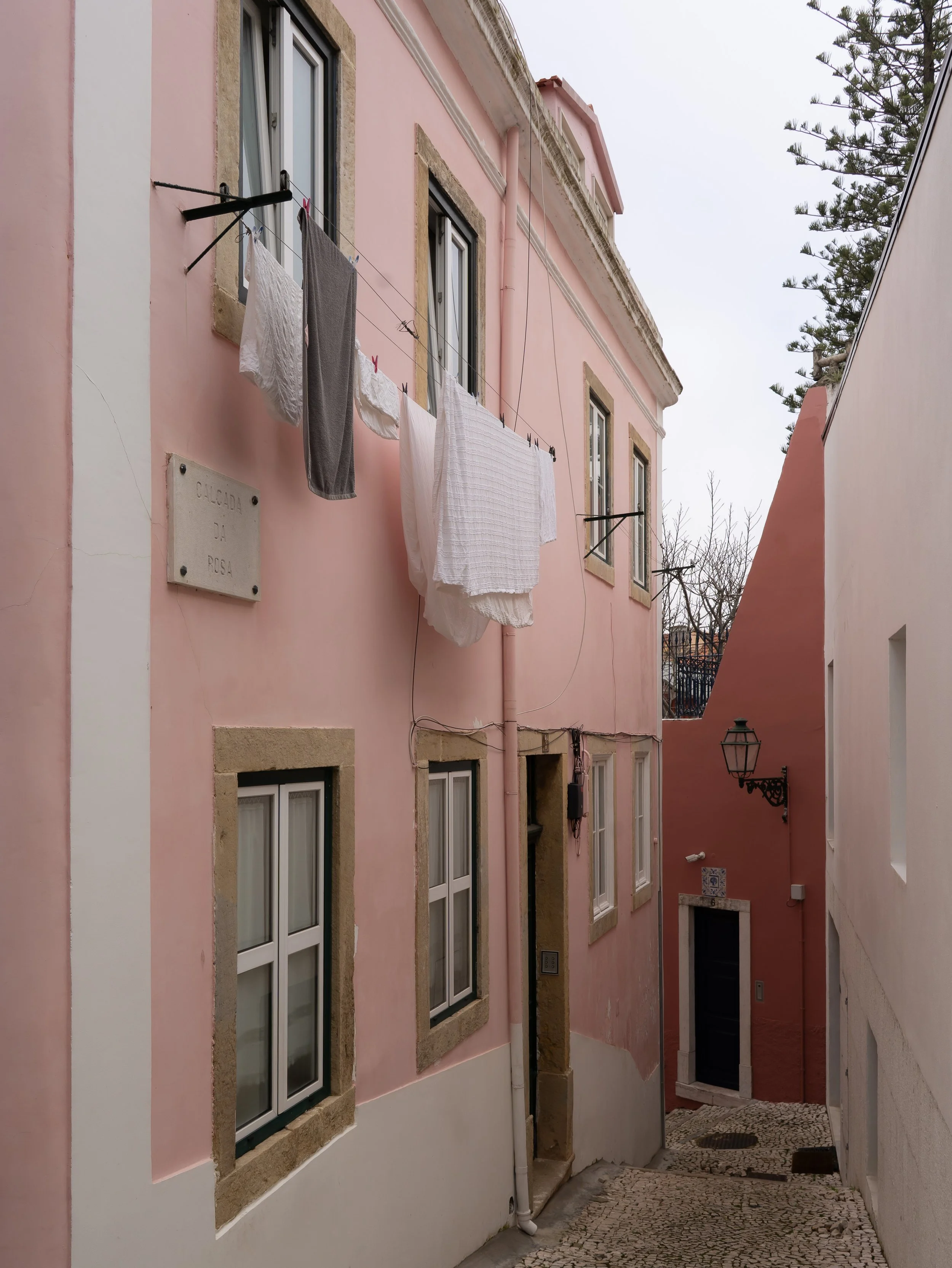 DSC03454.jpg