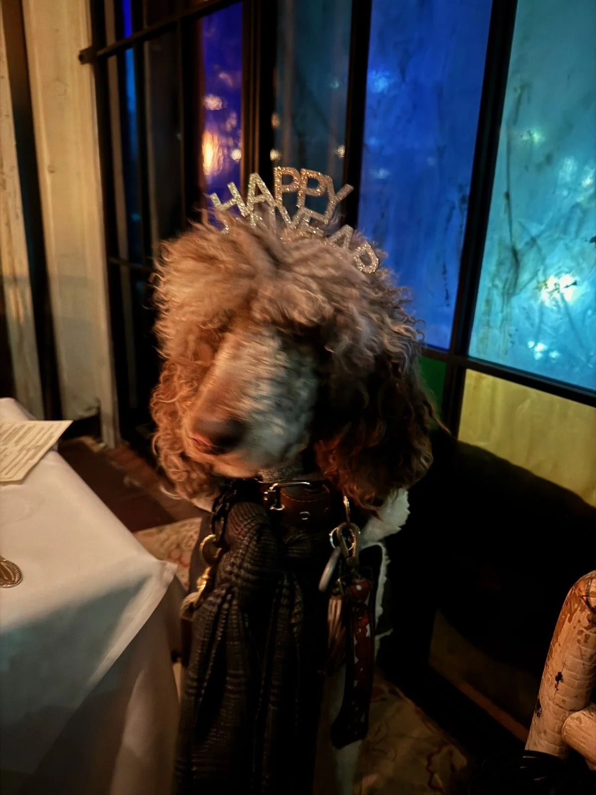 Sophie wearing a festive headband indoors.