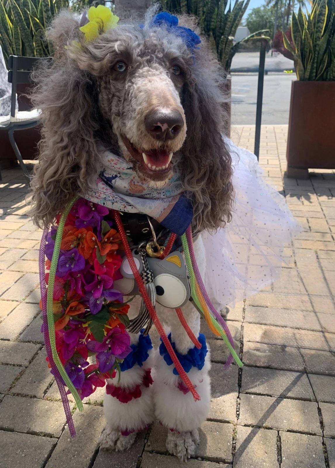 Sophie wearing a colorful outfit and hair bows on a patio.