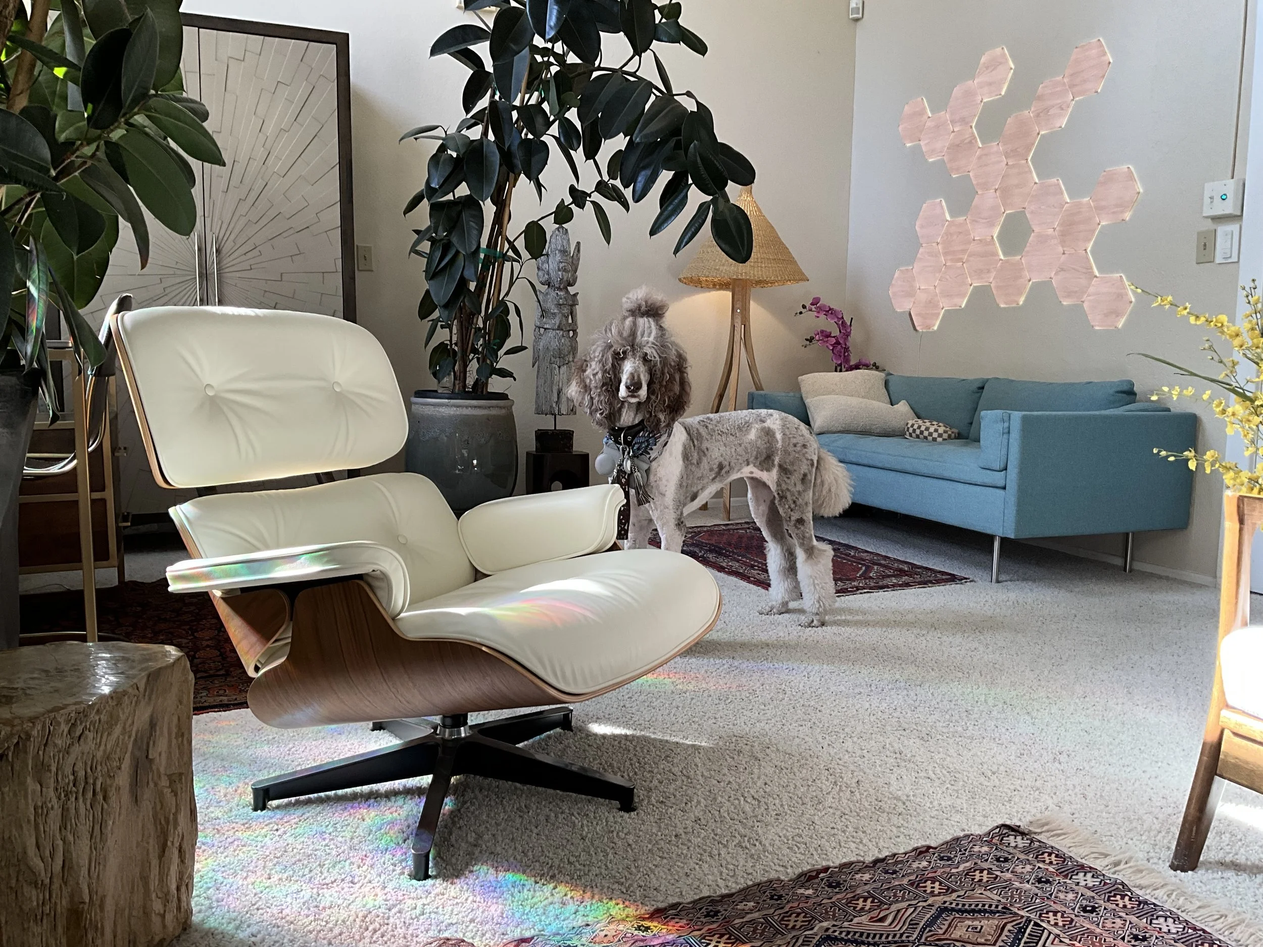 Sophie standing beside a lounge chair in Jamie’s therapy office, with plants and a blue sofa.