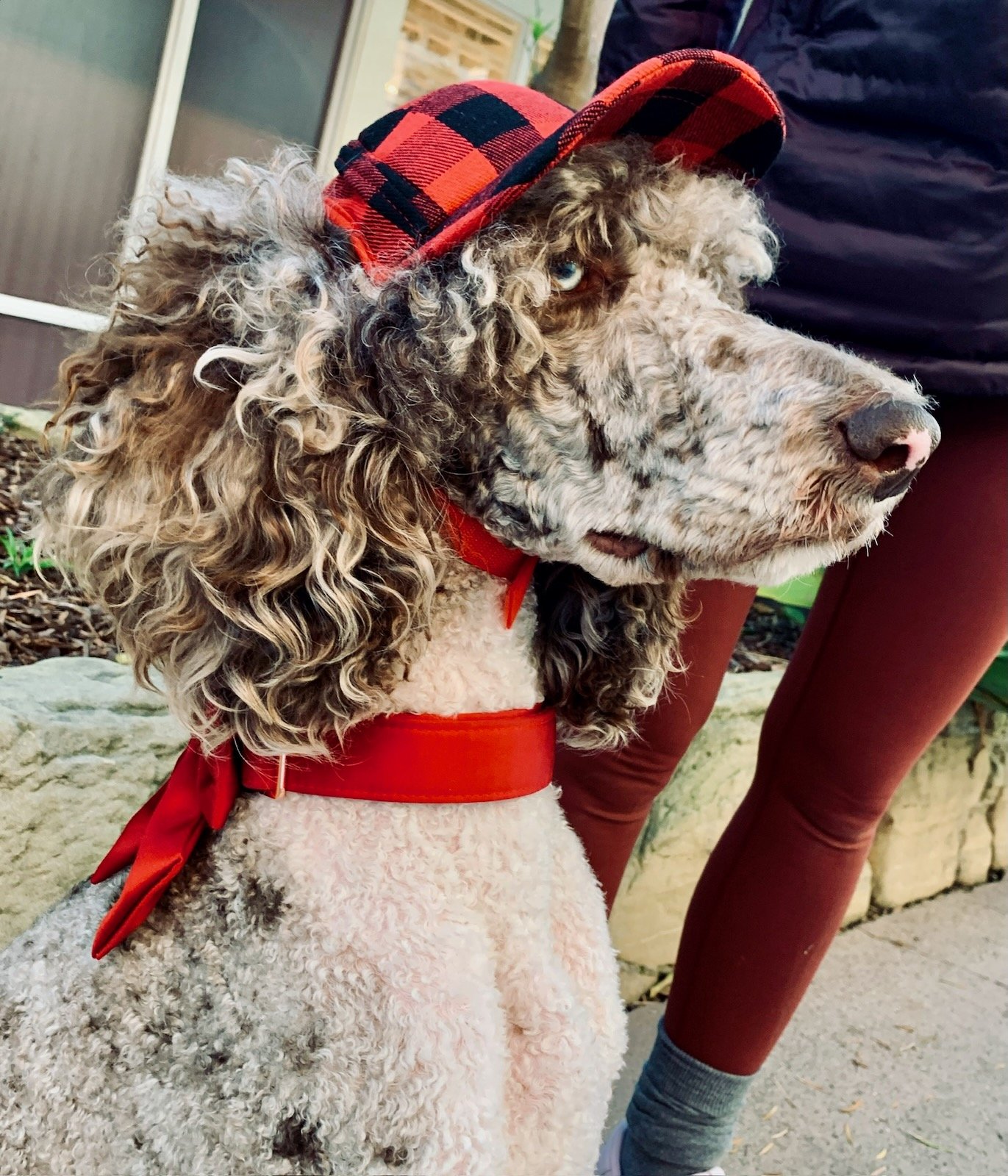 Sophie wearing a red plaid hat and matching scarf.