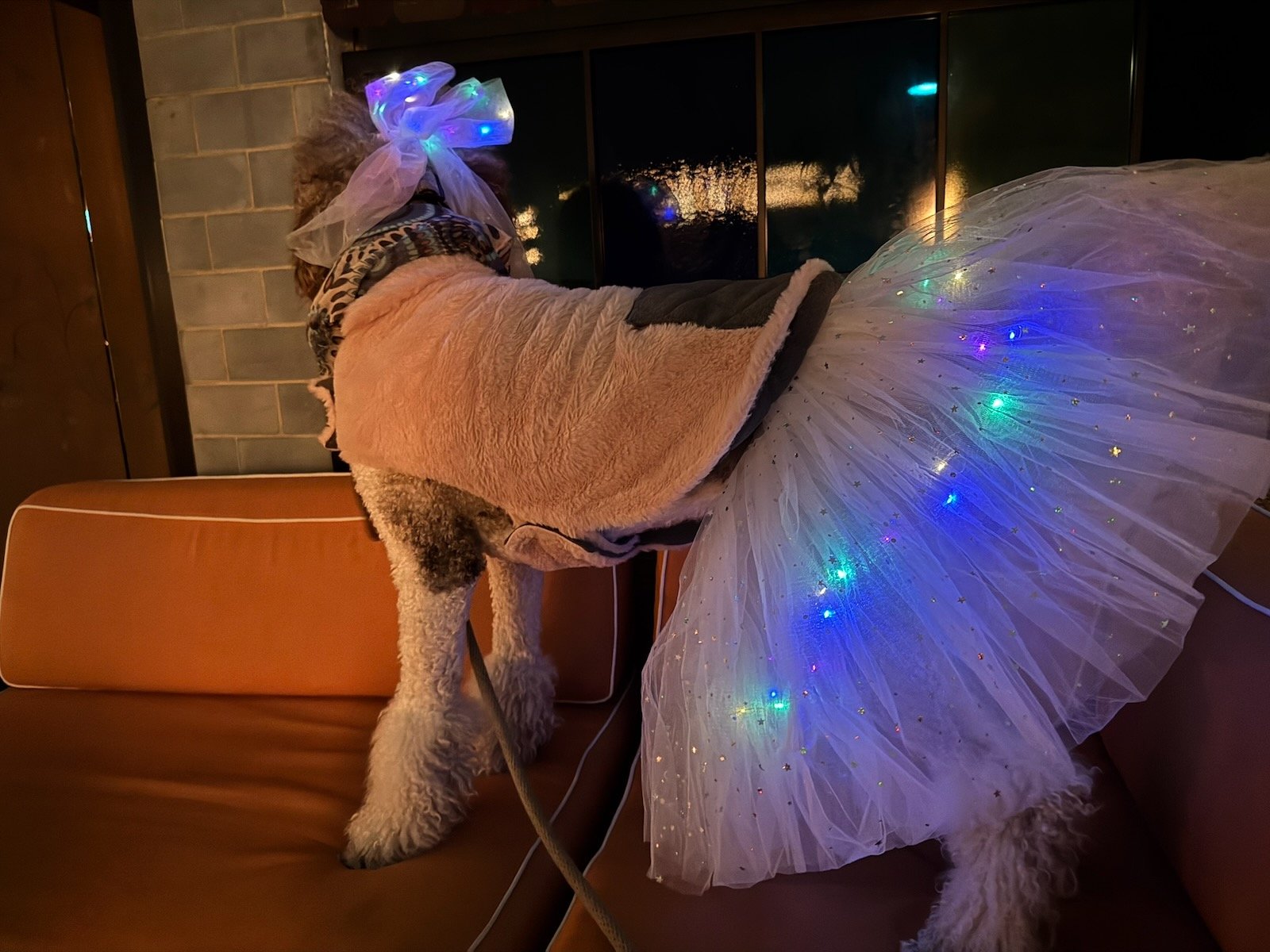 Sophie standing indoors in a costume with a light-up tulle skirt.