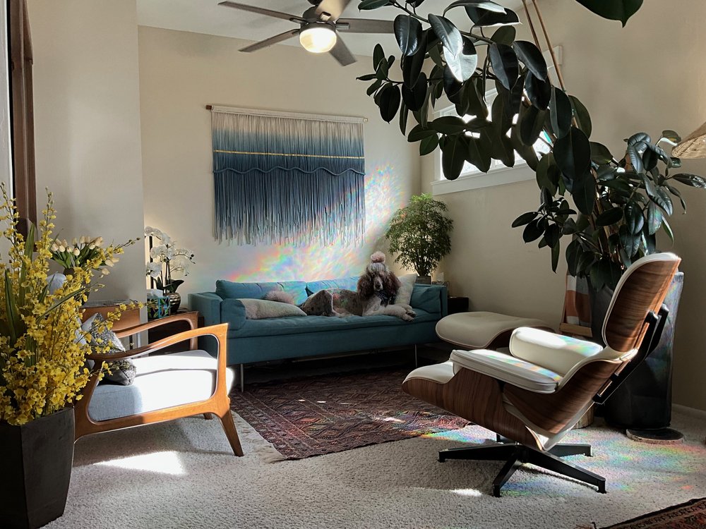 Sunlit Santa Barbara therapy office with comfortable chairs, a blue sofa, plants, and Sophie resting on the sofa.