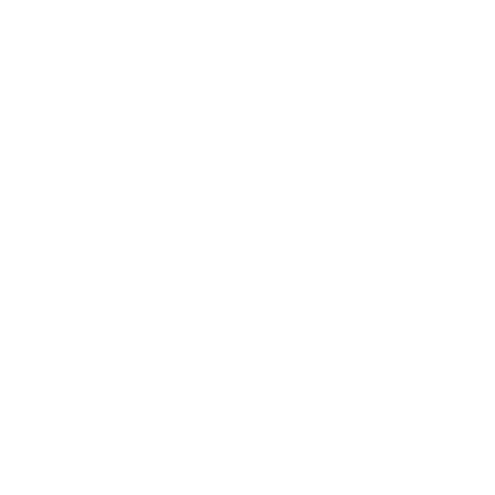 icon-texas.png