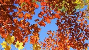 Changing Your Workout Focus For Fall &amp; Winter