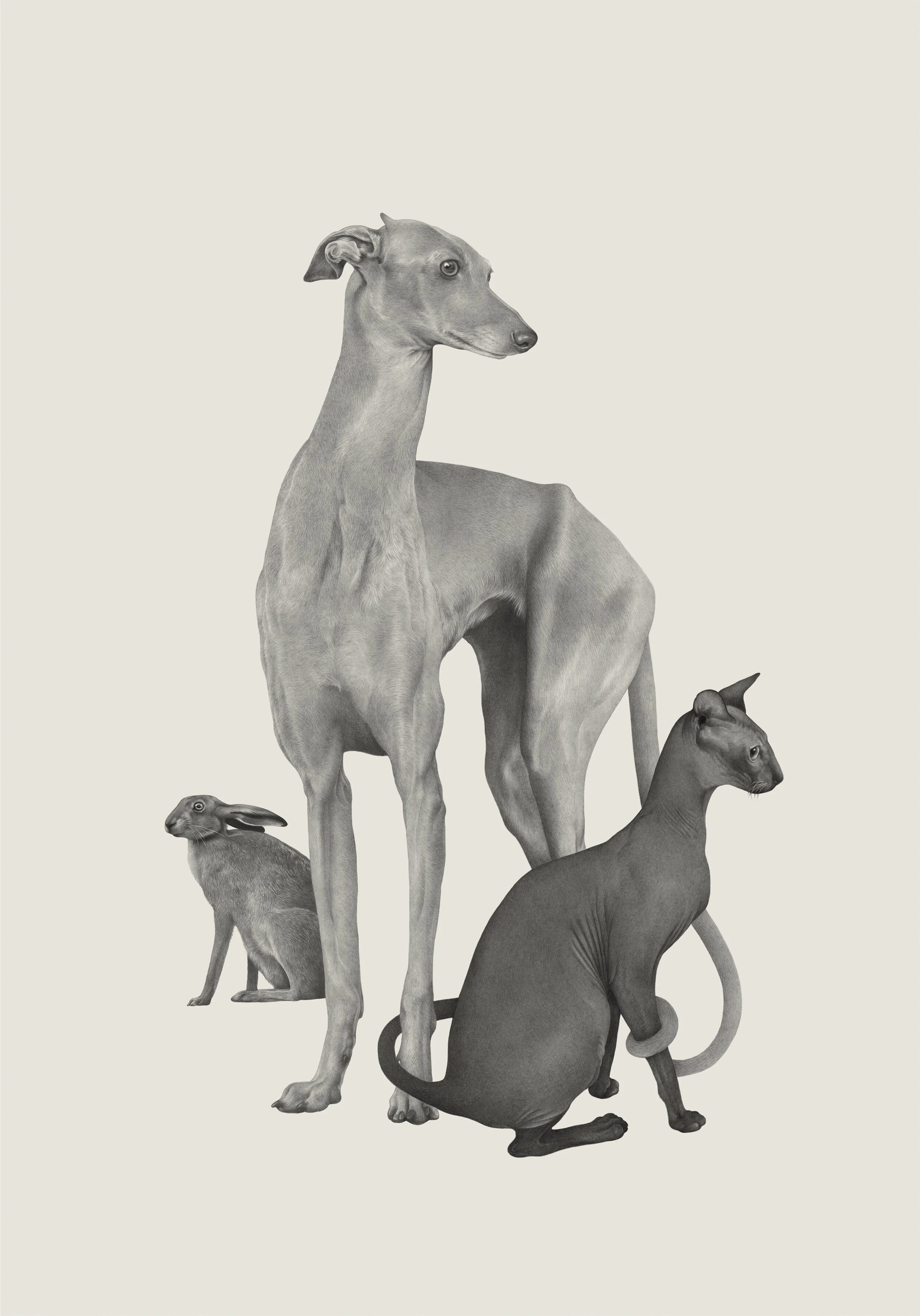 Familiars by Denise Nestor