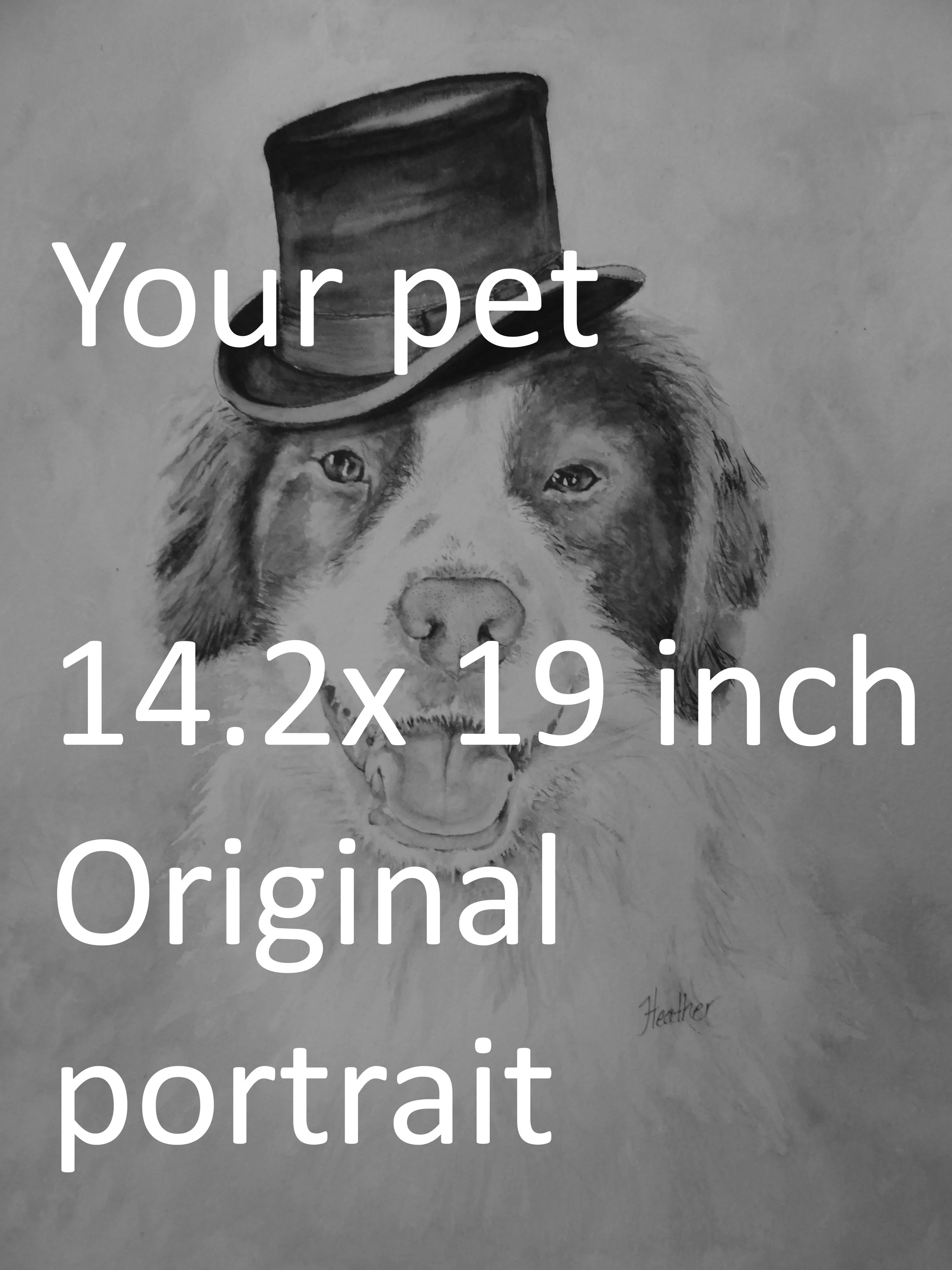 Benji_storegraphic.jpg