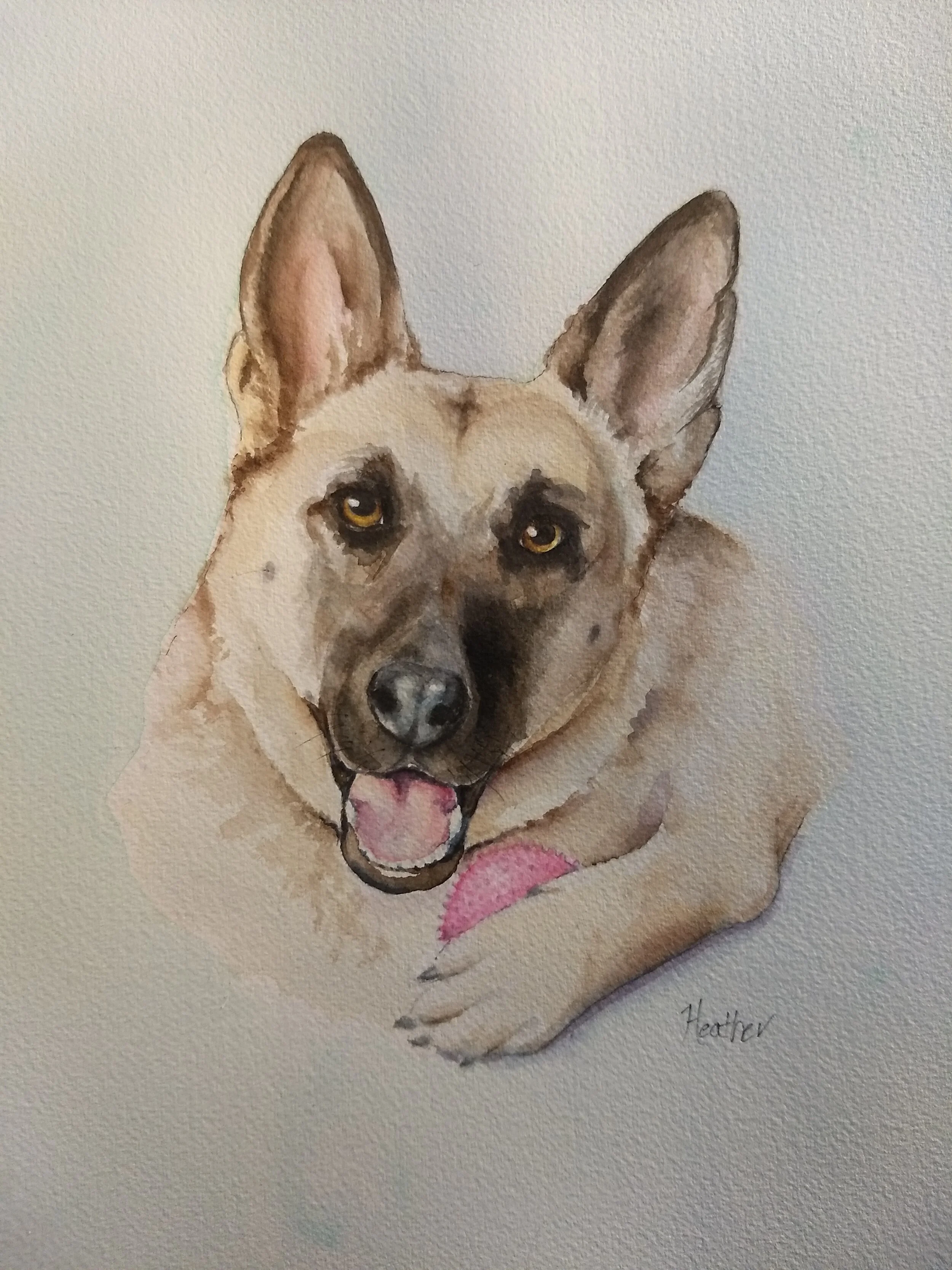 Sadie