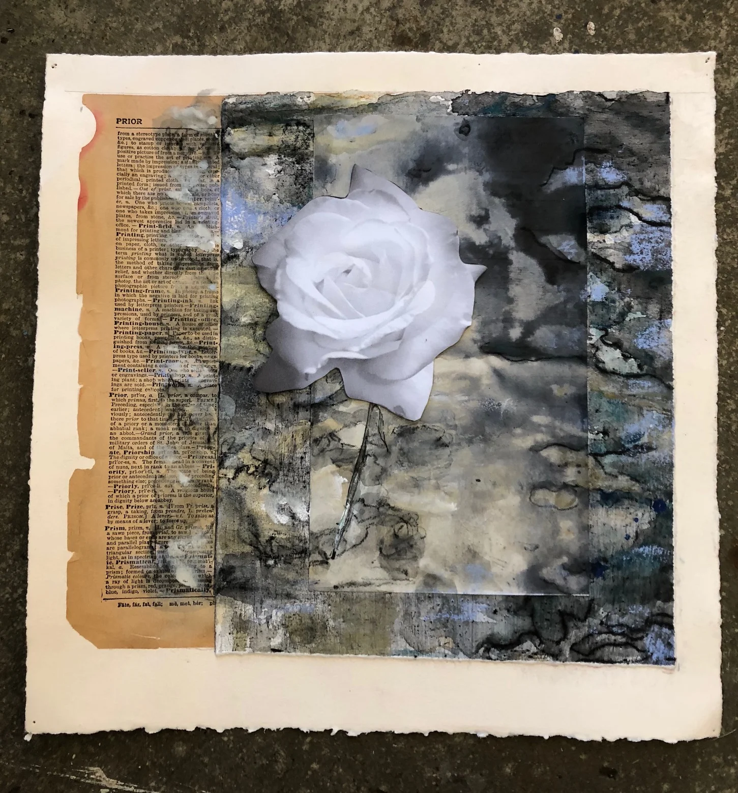Rose series #2