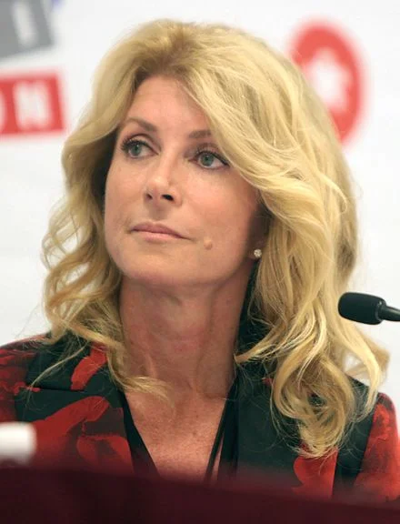 Former Texas State Senator Wendy Davis “Sam has spent a career fighting for progressive values. His work helped to establish the principle that no woman should have to choose between a job and a healthy pregnancy. He is exactly the sort of person we need on our courts.”