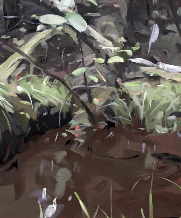 Log Rotting in Mud