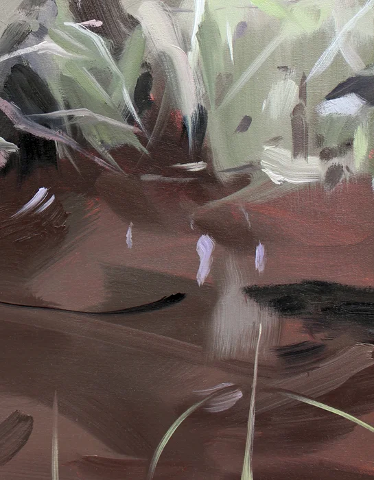 detail of Log Rotting Mud