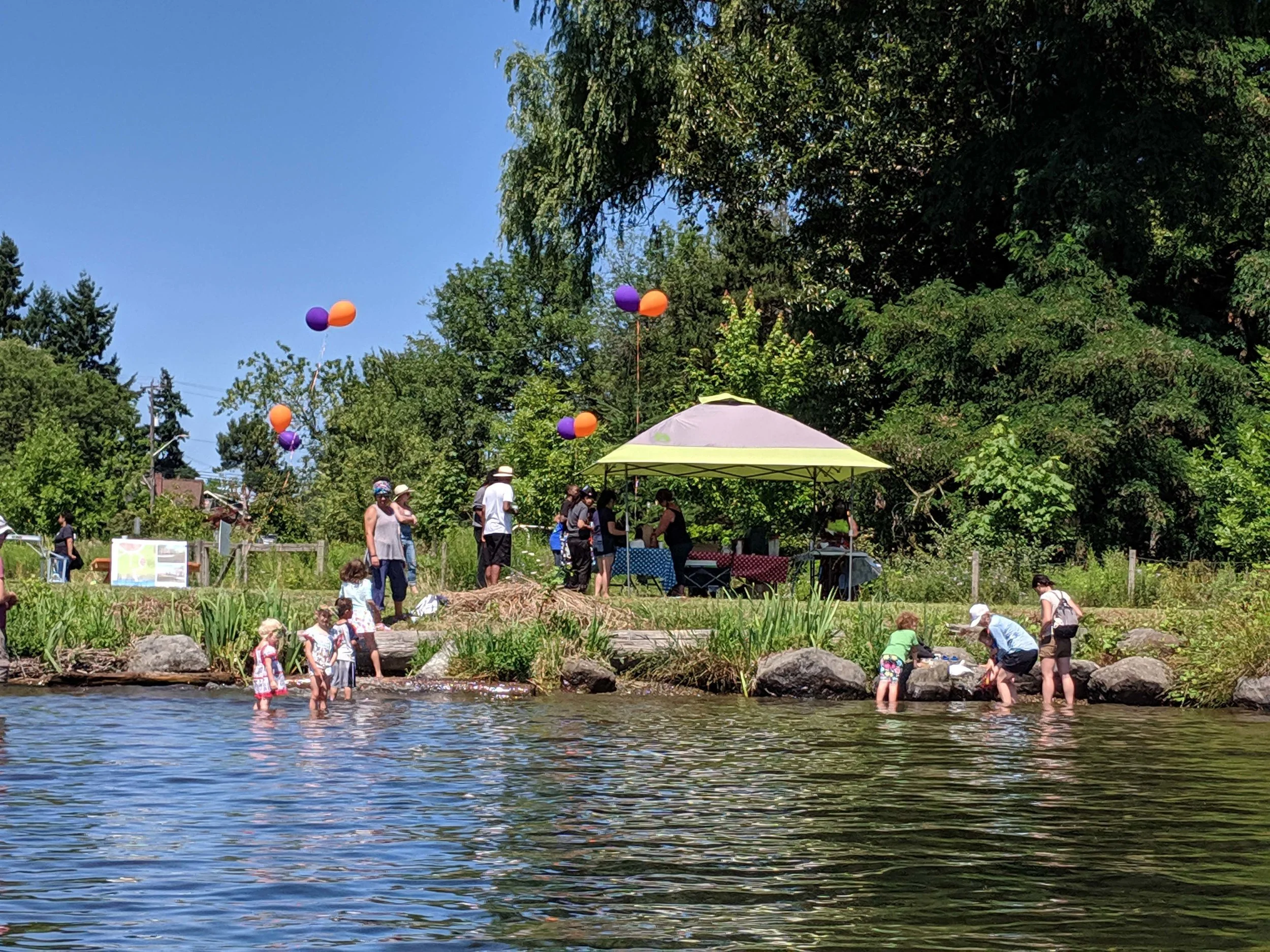 IMG_20190720_121731.jpg