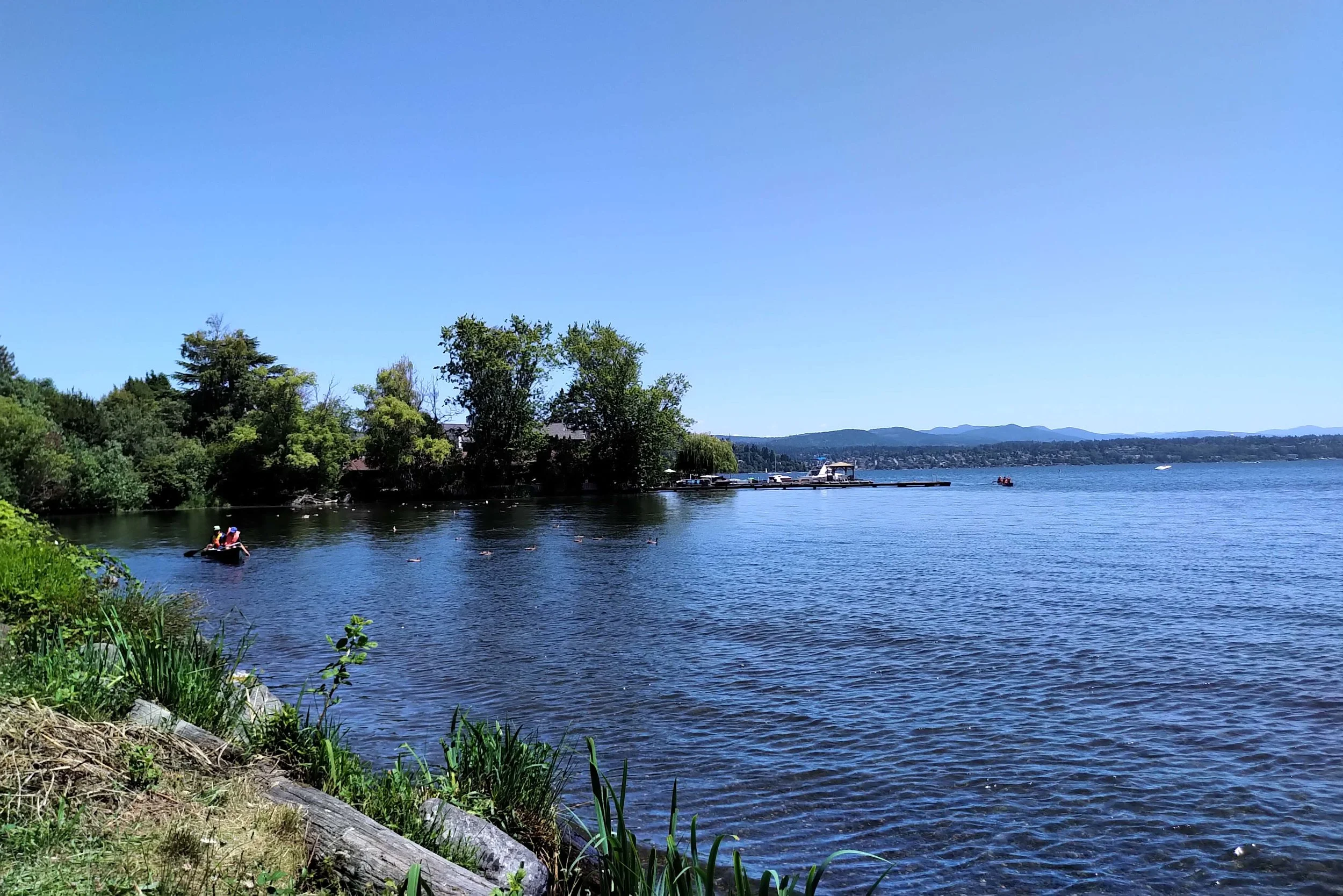 IMG_20190720_1310198.jpg