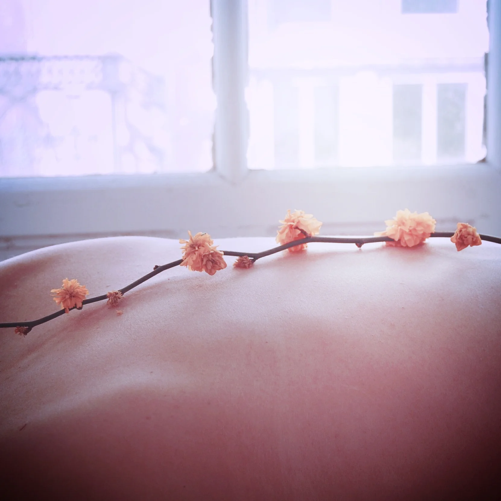pexels-photo.jpg