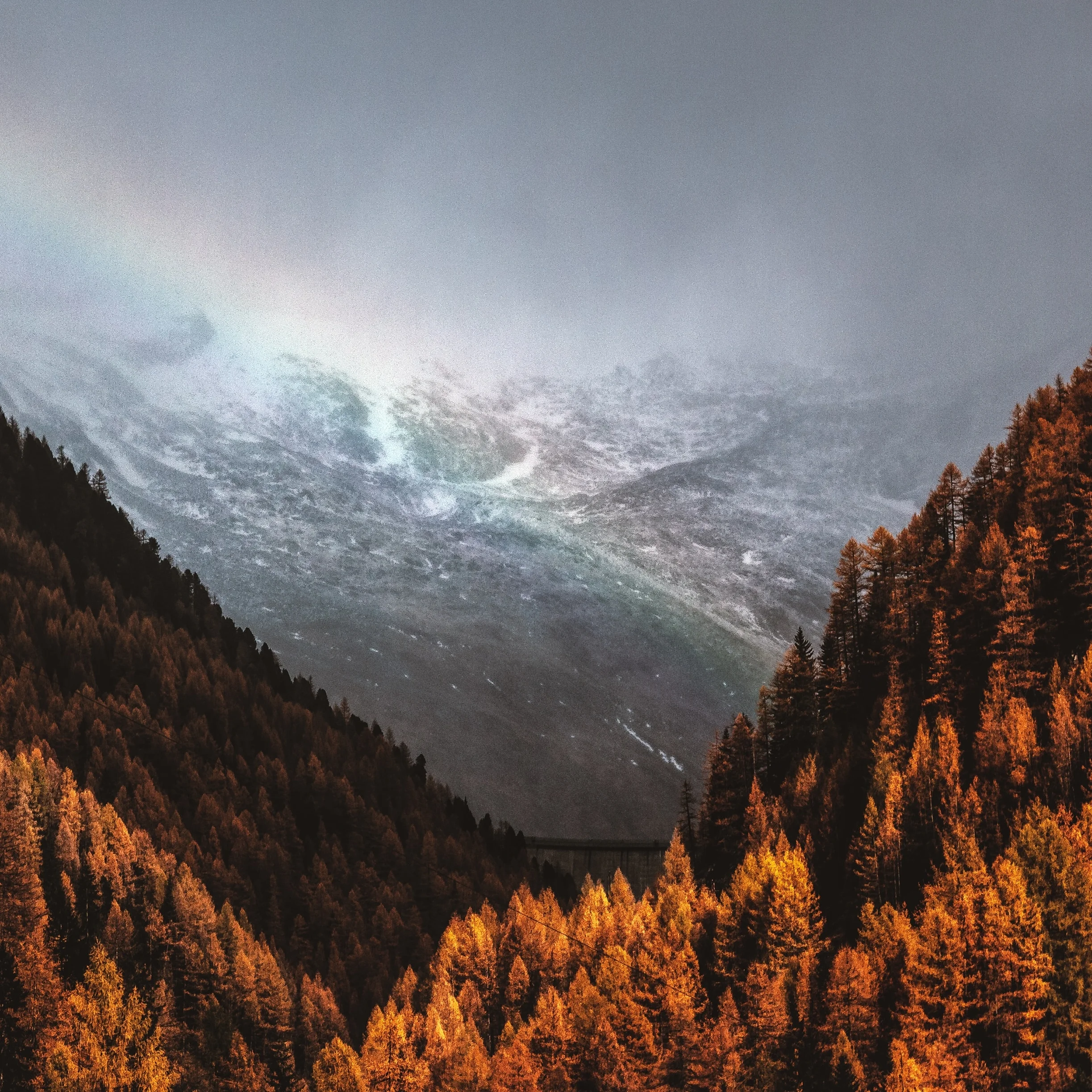 autumn-cold-dawn-701353.jpg