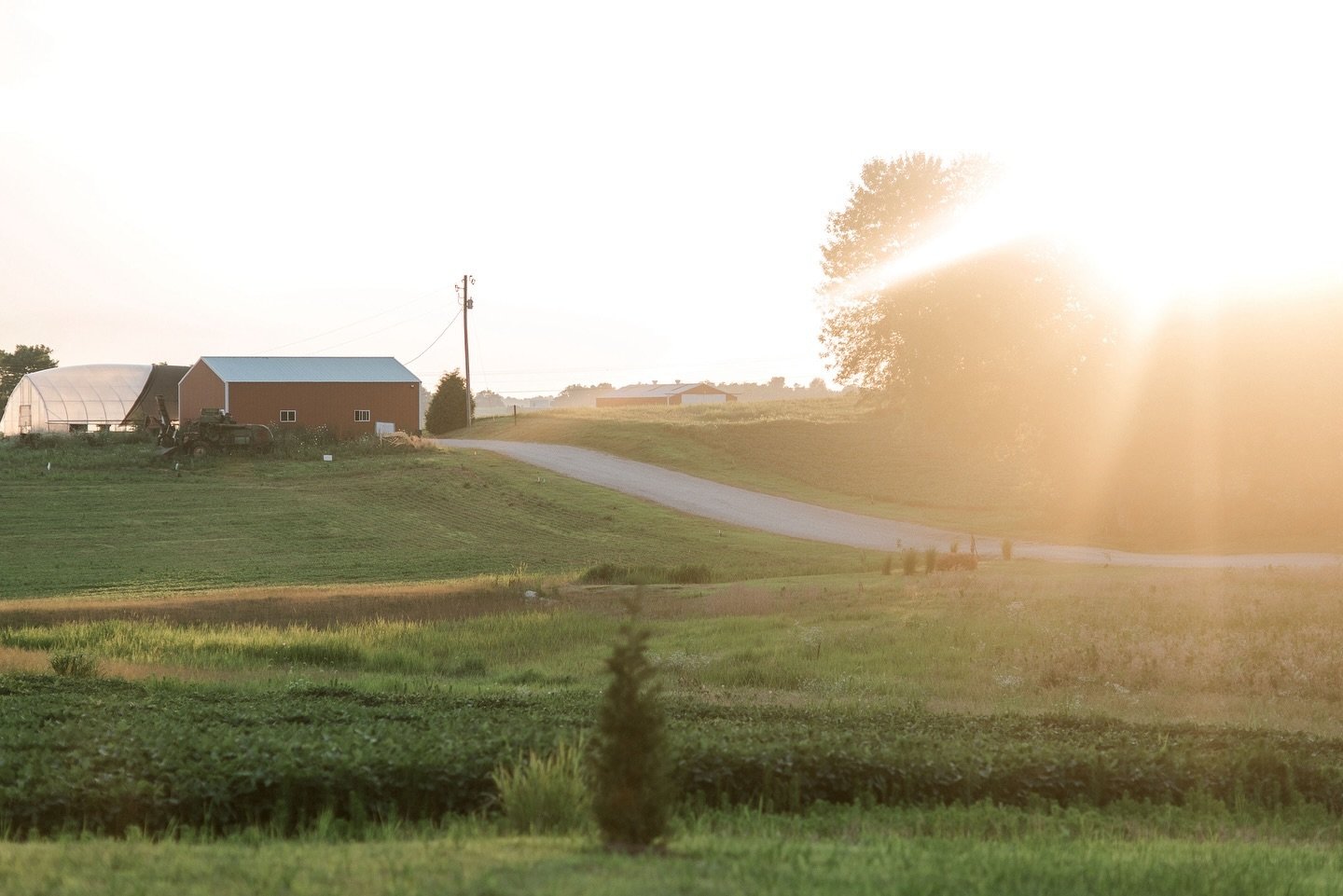 We love a good golden hour at the farm&hellip; ☀️