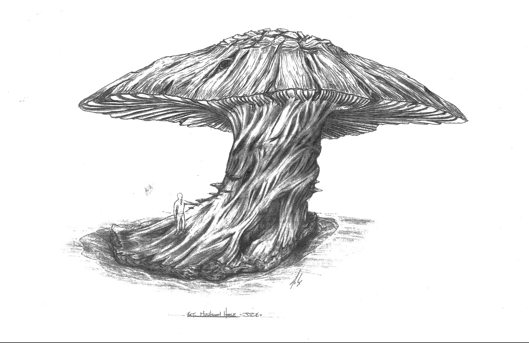 mushroom sketch.jpg