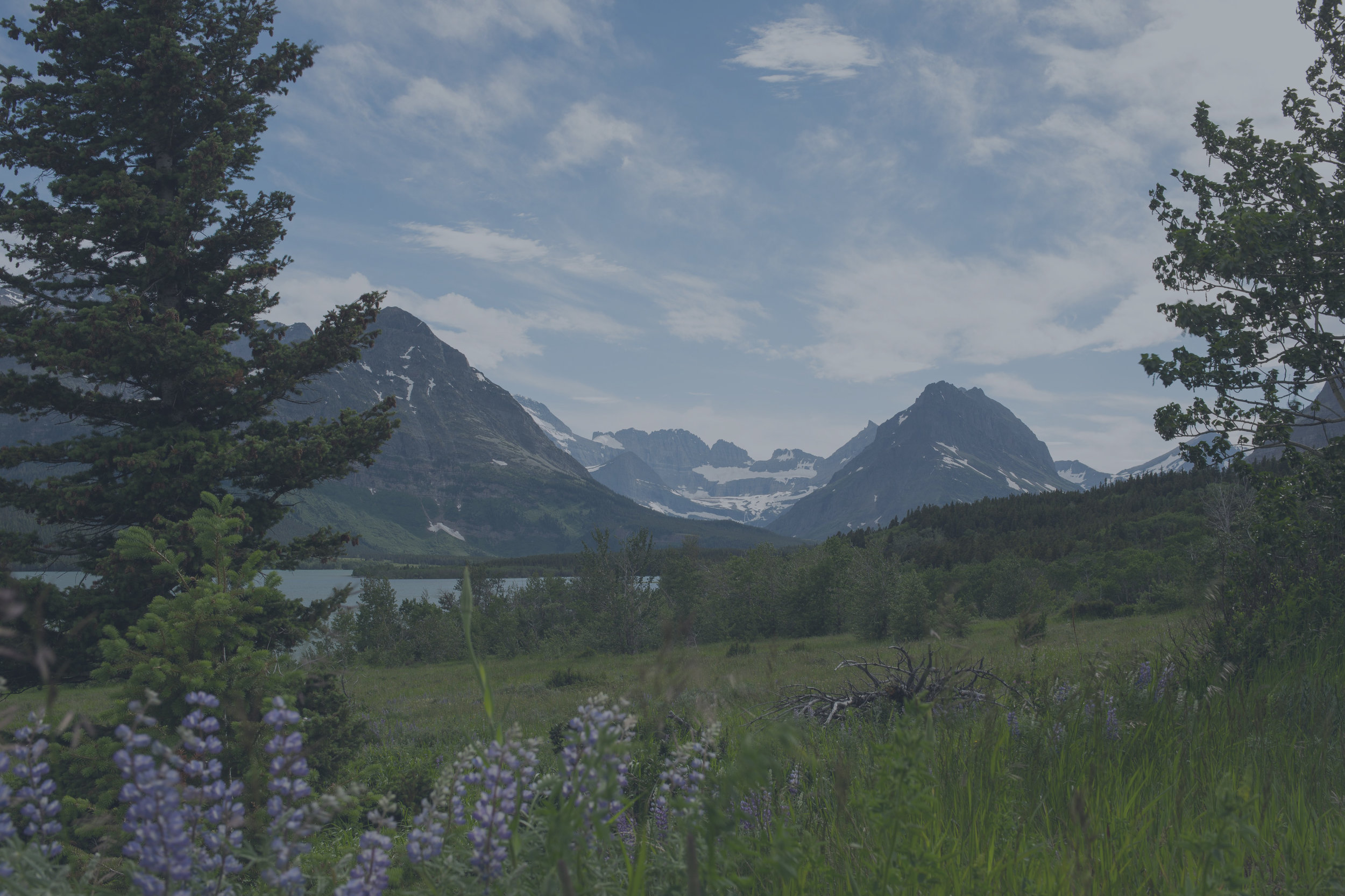 nature-mountains-flower-landscape-adventure_4460x4460.jpg