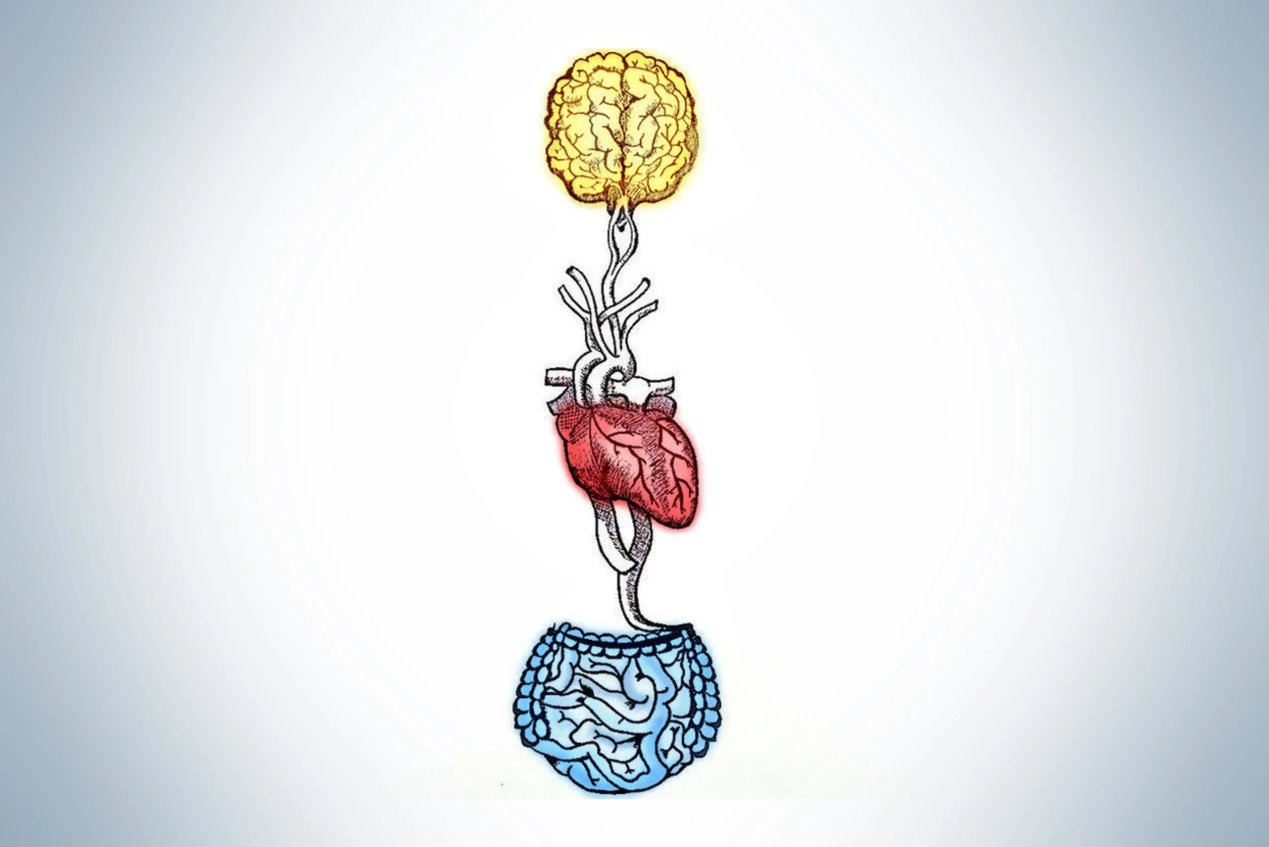 Introduction to Somatic Movement: Balancing the Three Brains