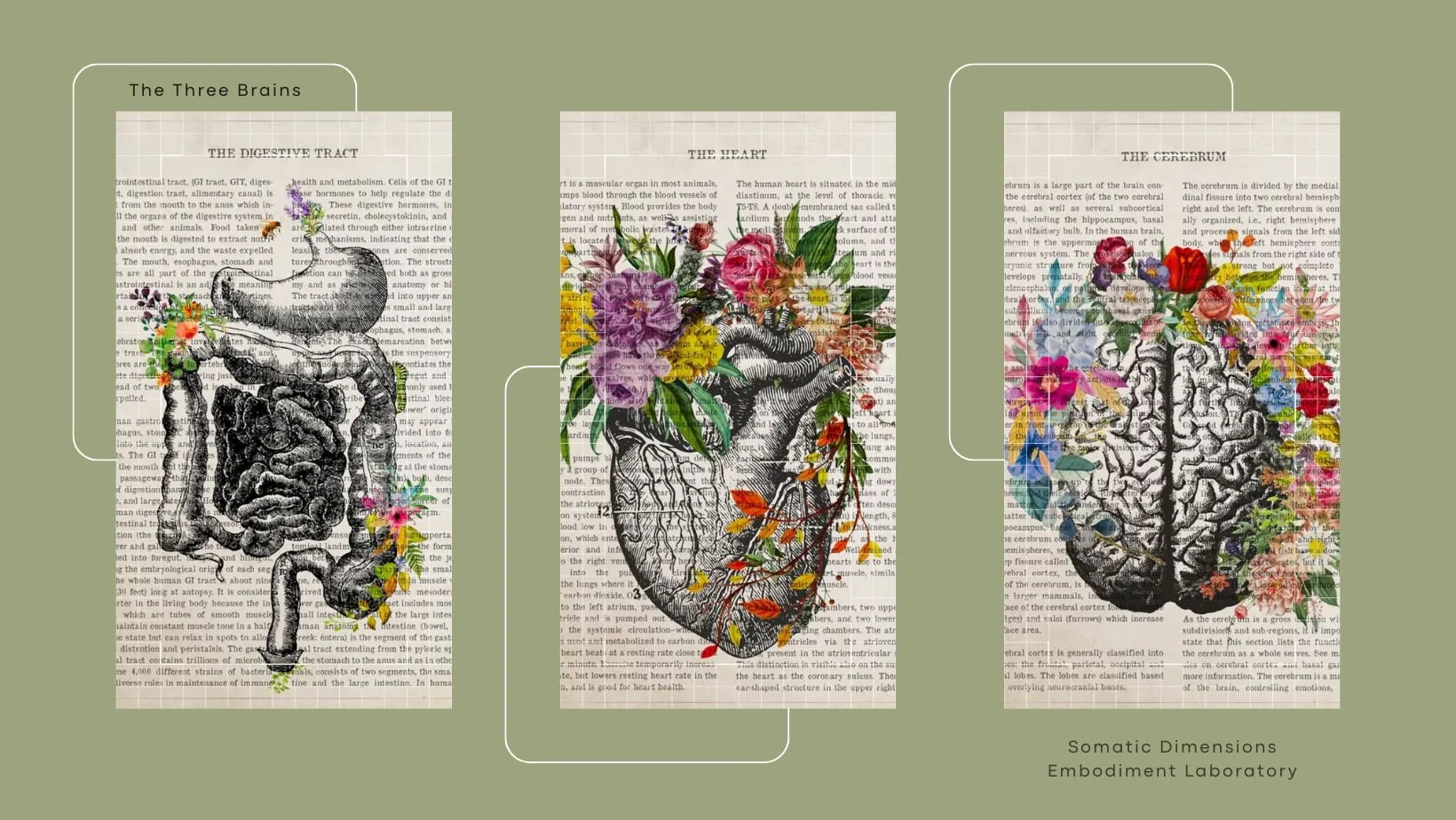 Exploring the Innate Wisdom of the Moving Body and the Three Brains: A Somatic Dimensions Embodiment Laboratory