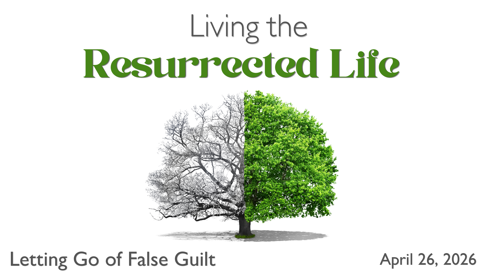 Letting Go of False Guilt