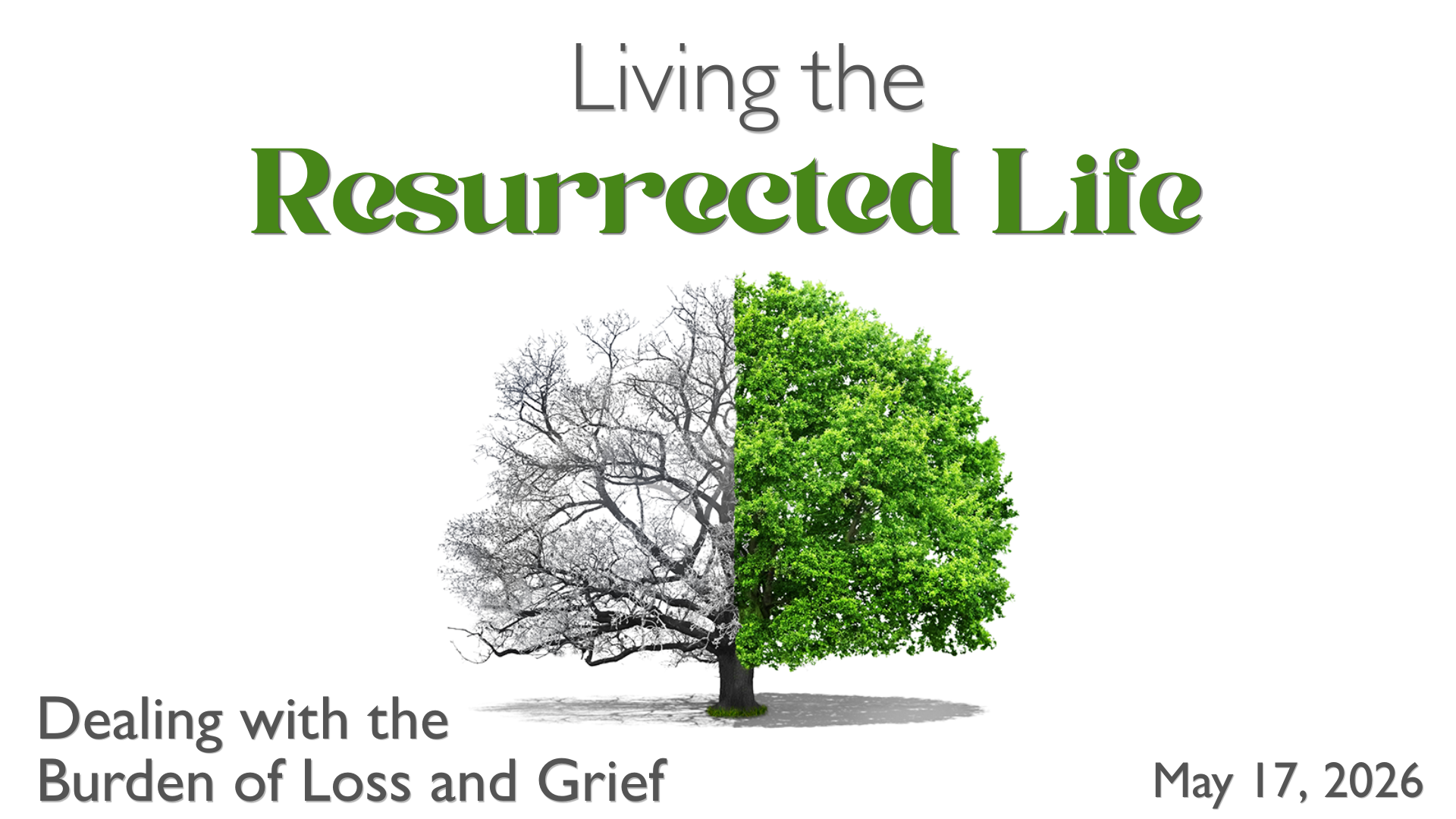 Dealing with the Burden of Loss and Grief