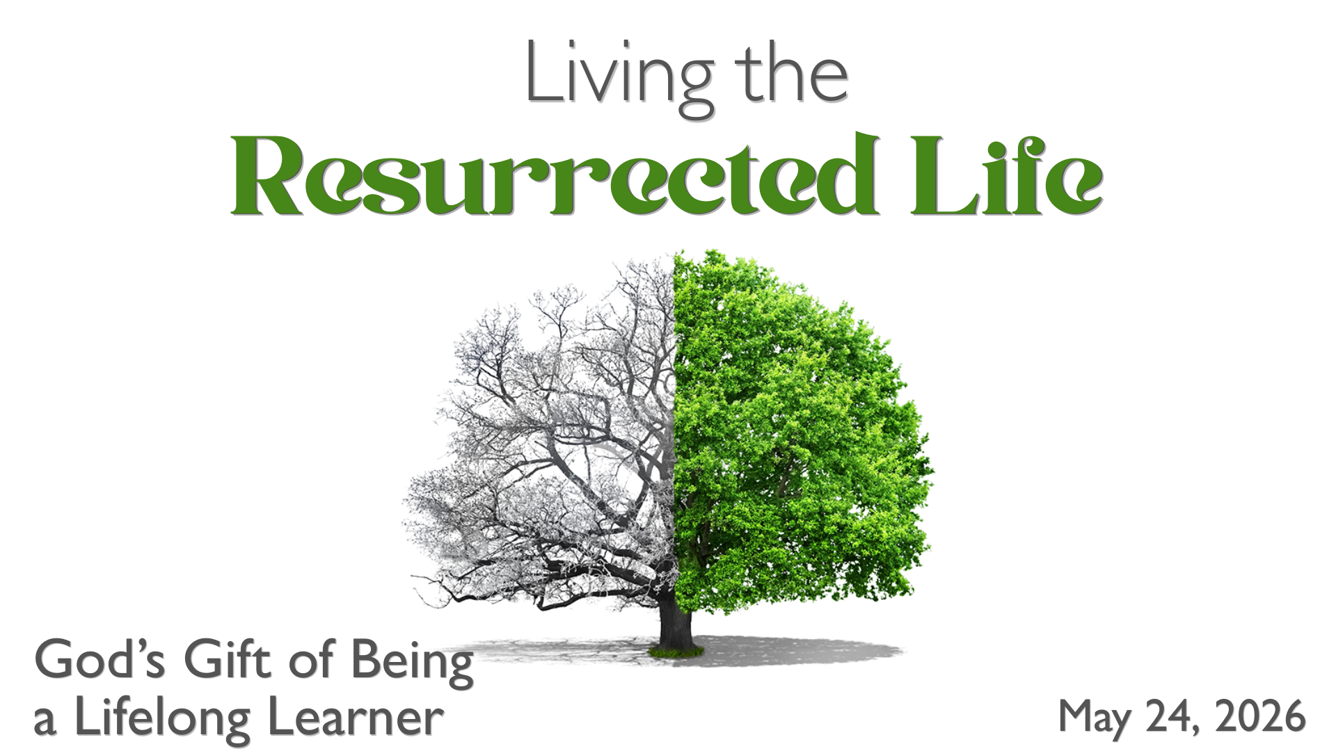 God’s Gift of Being a Lifelong Learner 